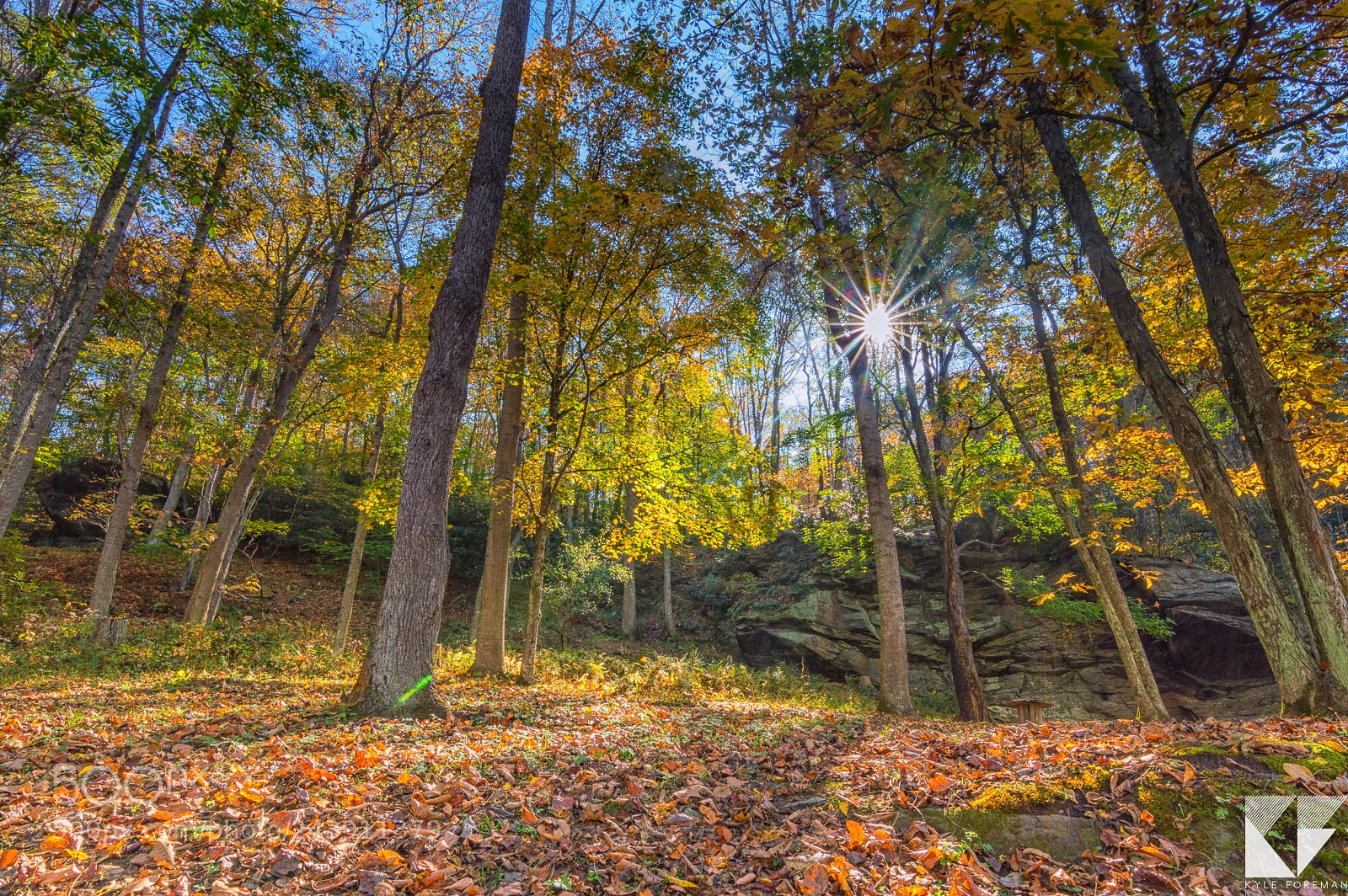 Nikon D3200 sample photo. New river photography