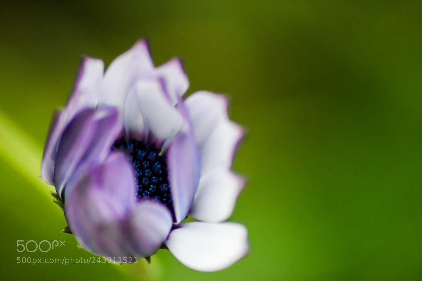 Nikon D7500 sample photo. Untitled photography