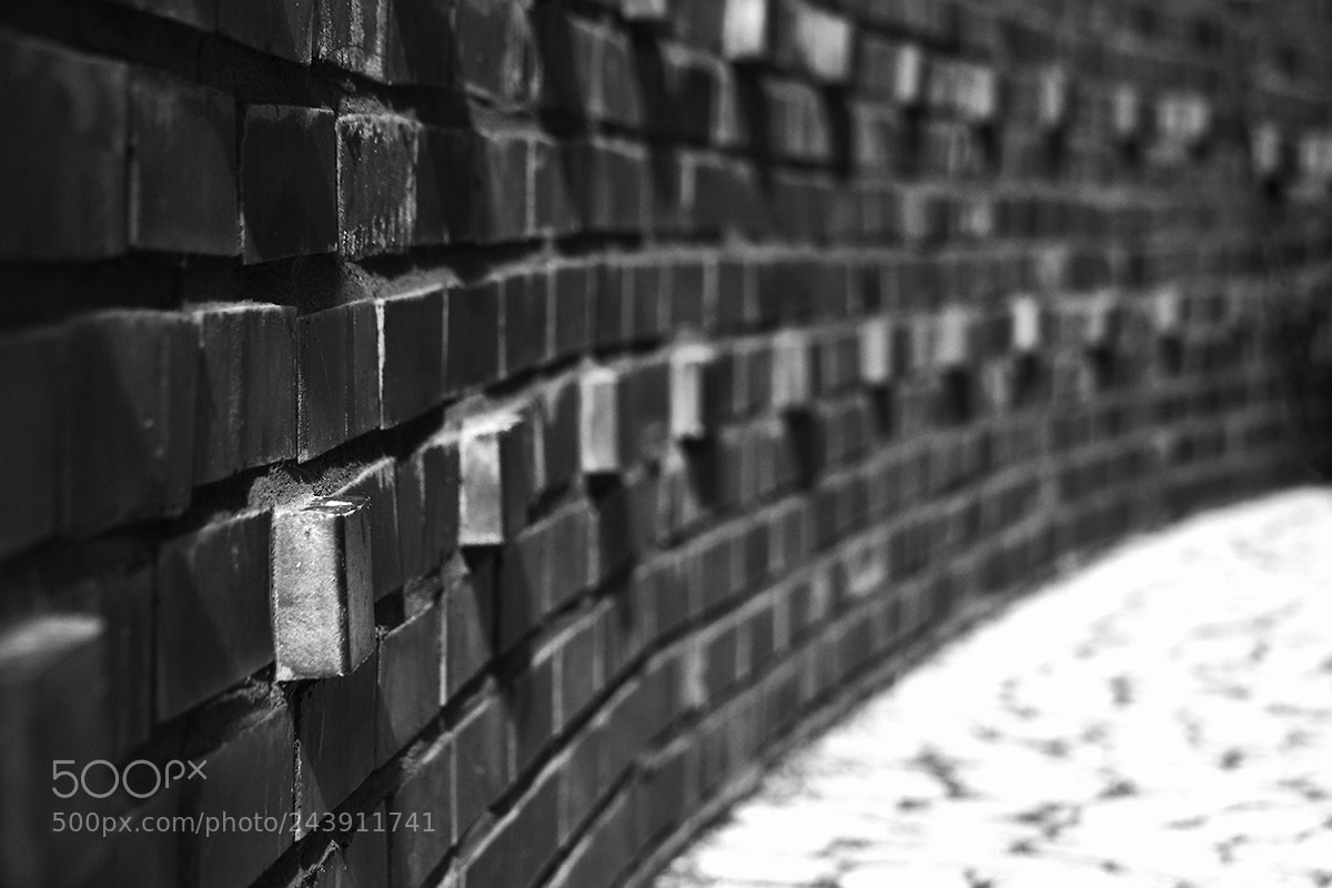 Olympus OM-D E-M5 II sample photo. The wall ... photography