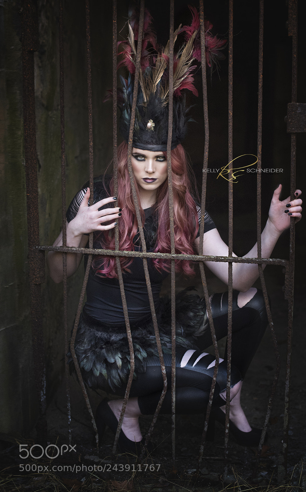 Nikon D5 sample photo. Caged photography