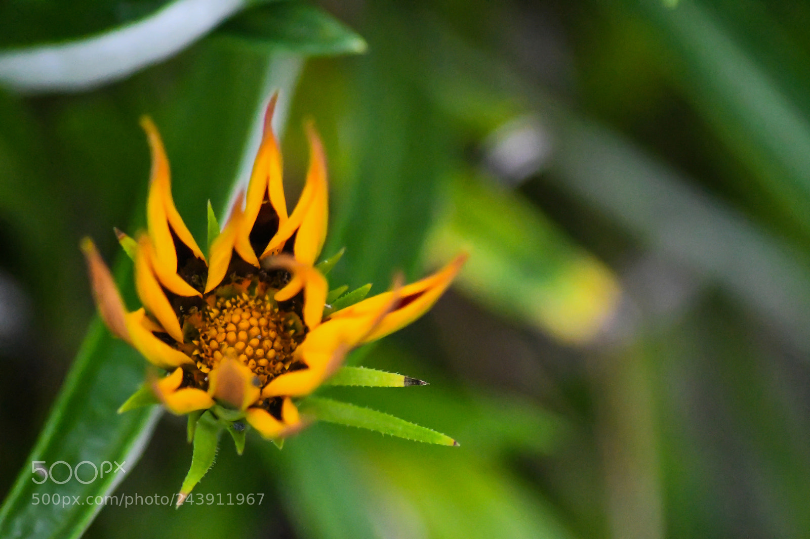 Nikon D7500 sample photo. Untitled photography