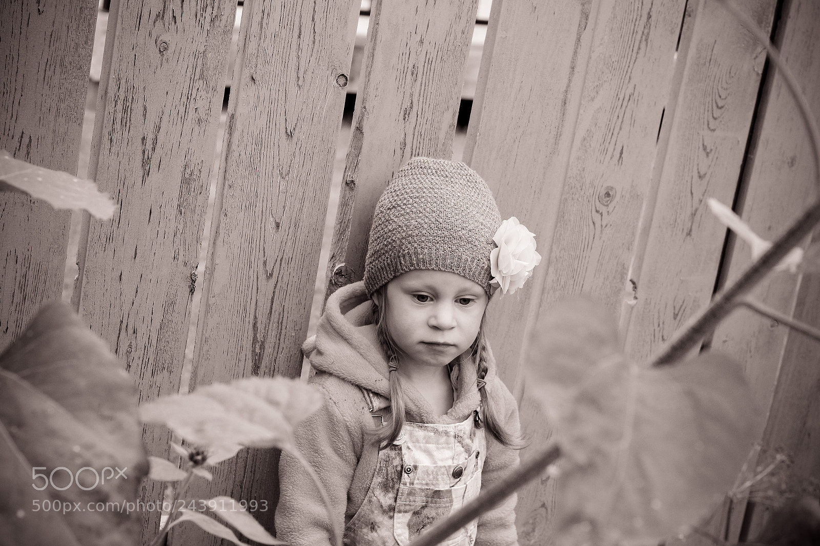 Canon EOS 60D sample photo. Gardening is hard work photography