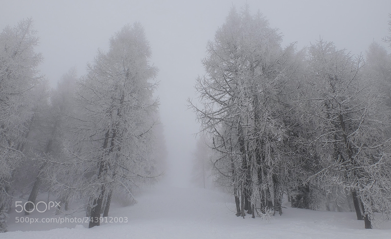 Fujifilm X-T1 sample photo. Cold... photography