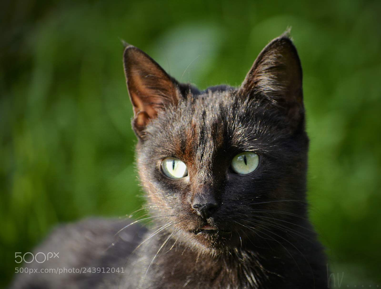 Nikon D7100 sample photo. Intrusion photography