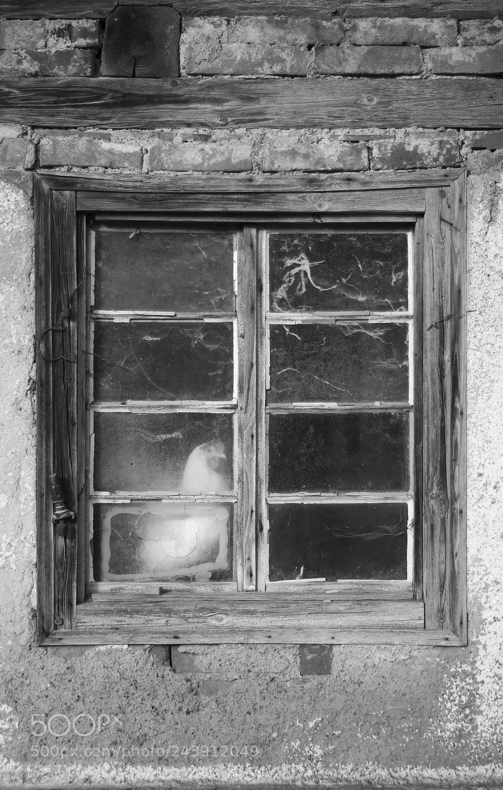 Nikon D200 sample photo. 50x50 in laupertshausen 5 photography