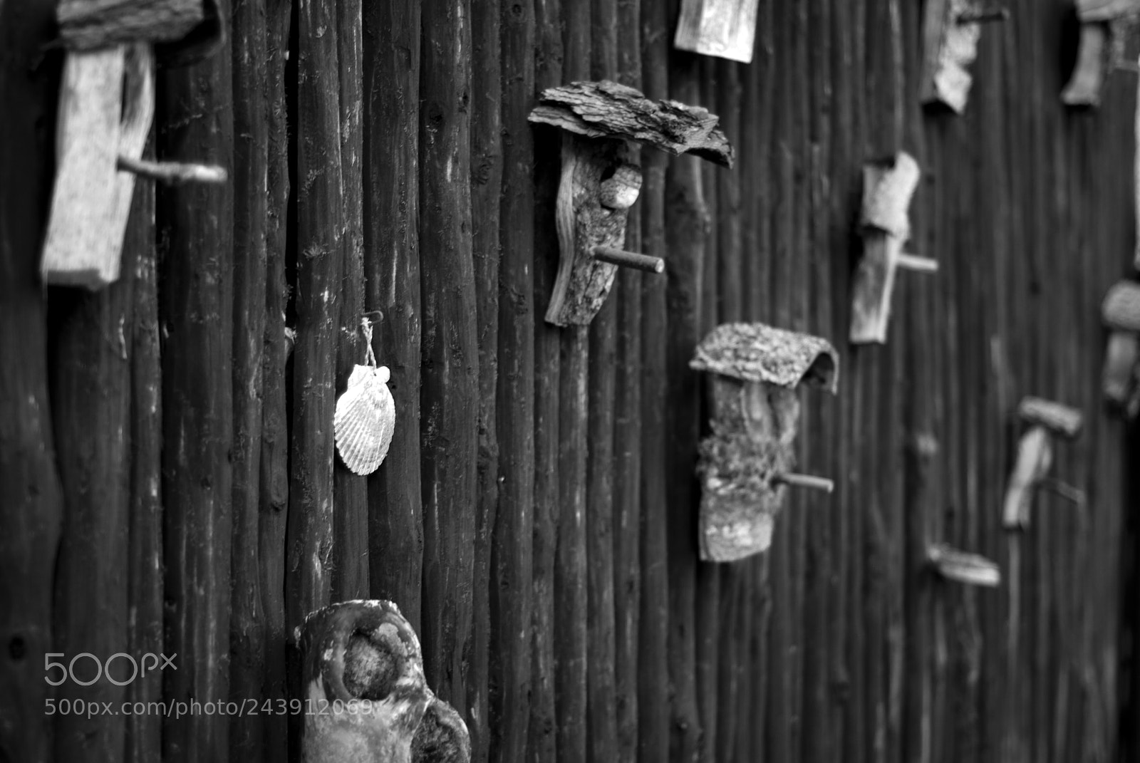 Nikon D200 sample photo. 50x50 in laupertshausen 6 photography