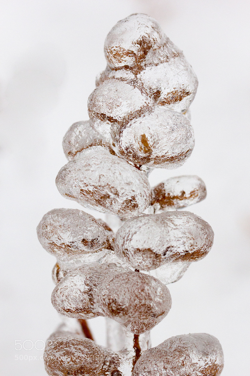 Canon EOS 60D sample photo. Frozen photography