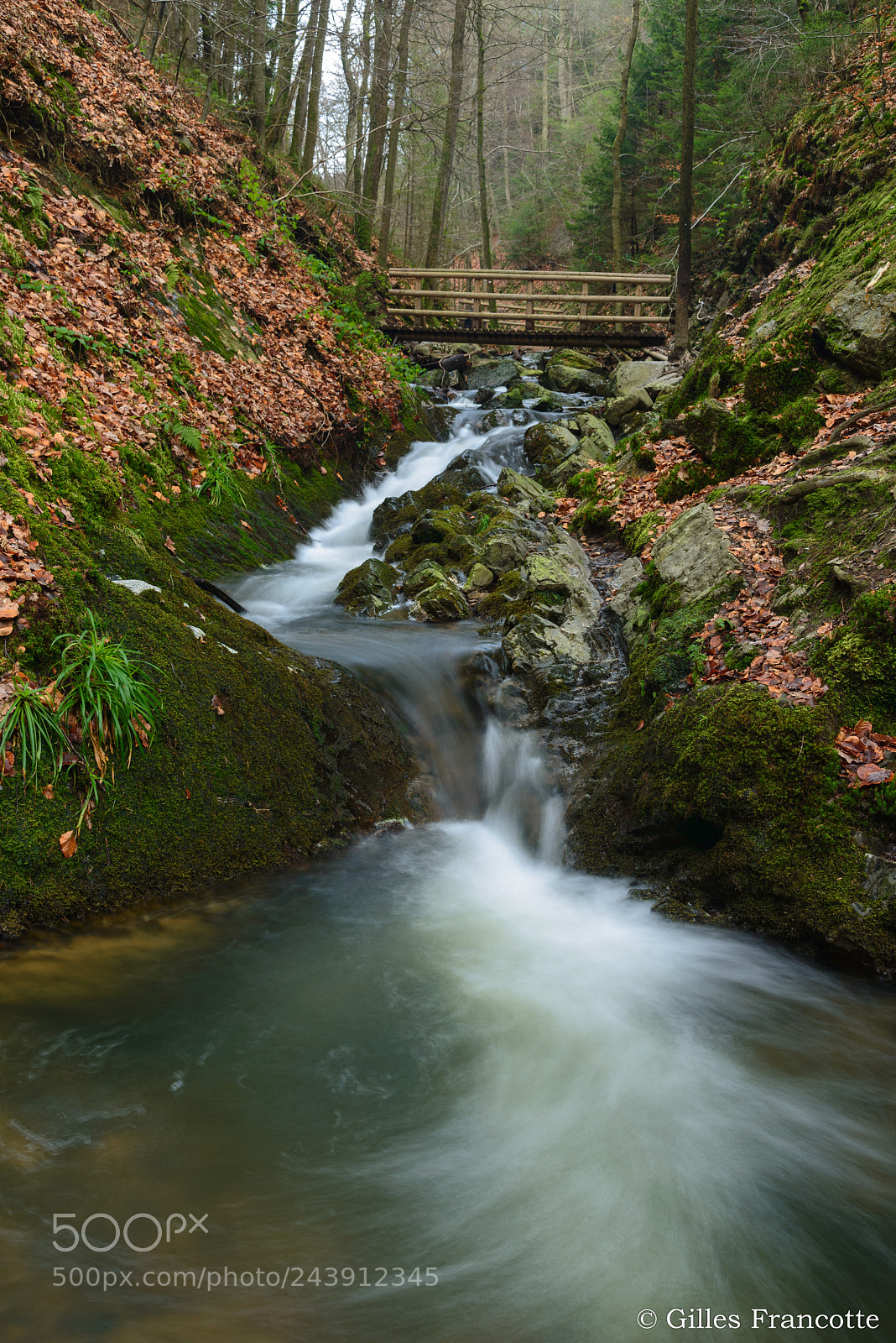 Nikon D800 sample photo. Torrent. photography