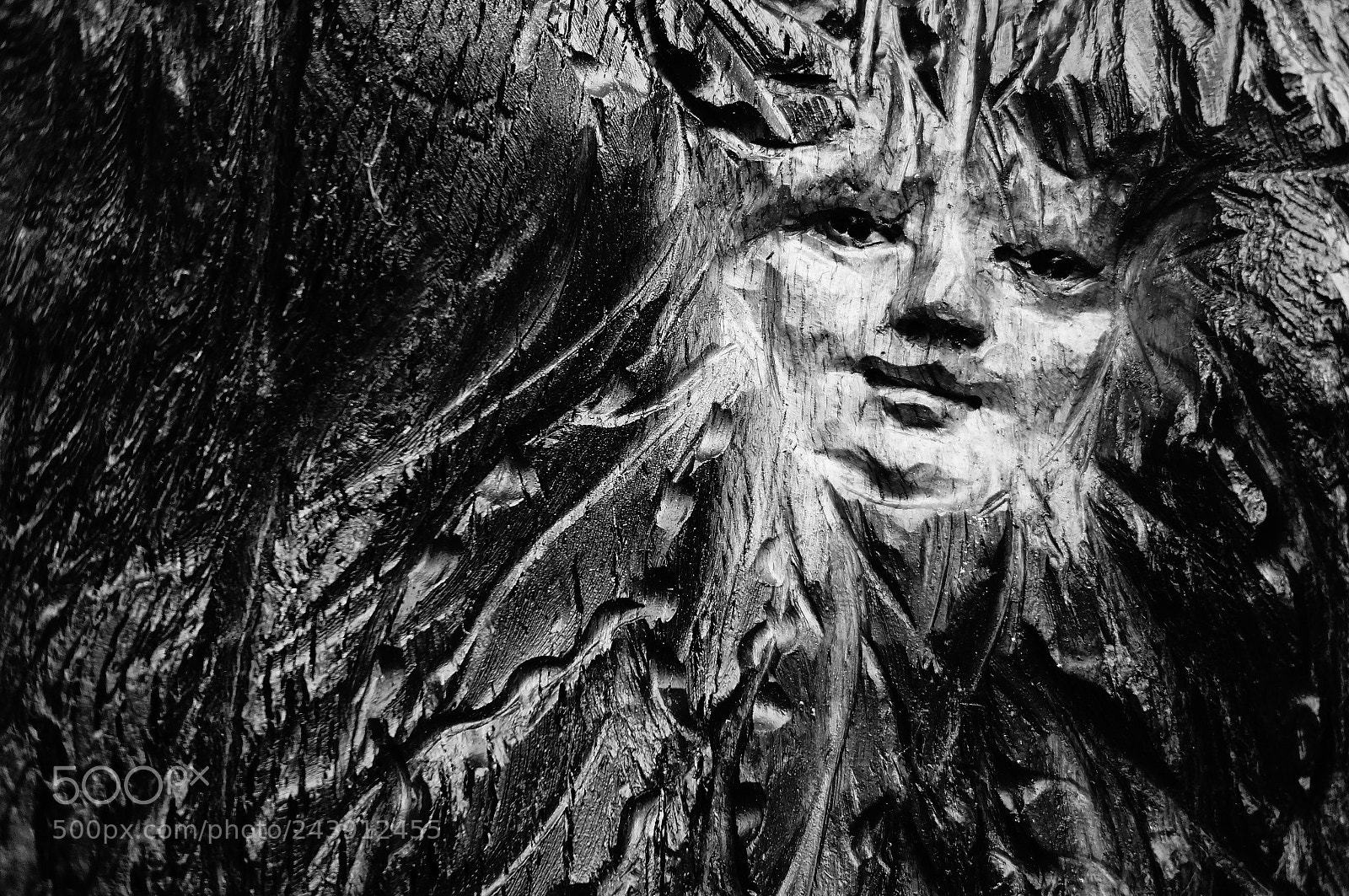 Sony Alpha NEX-5N sample photo. Wood sprite photography