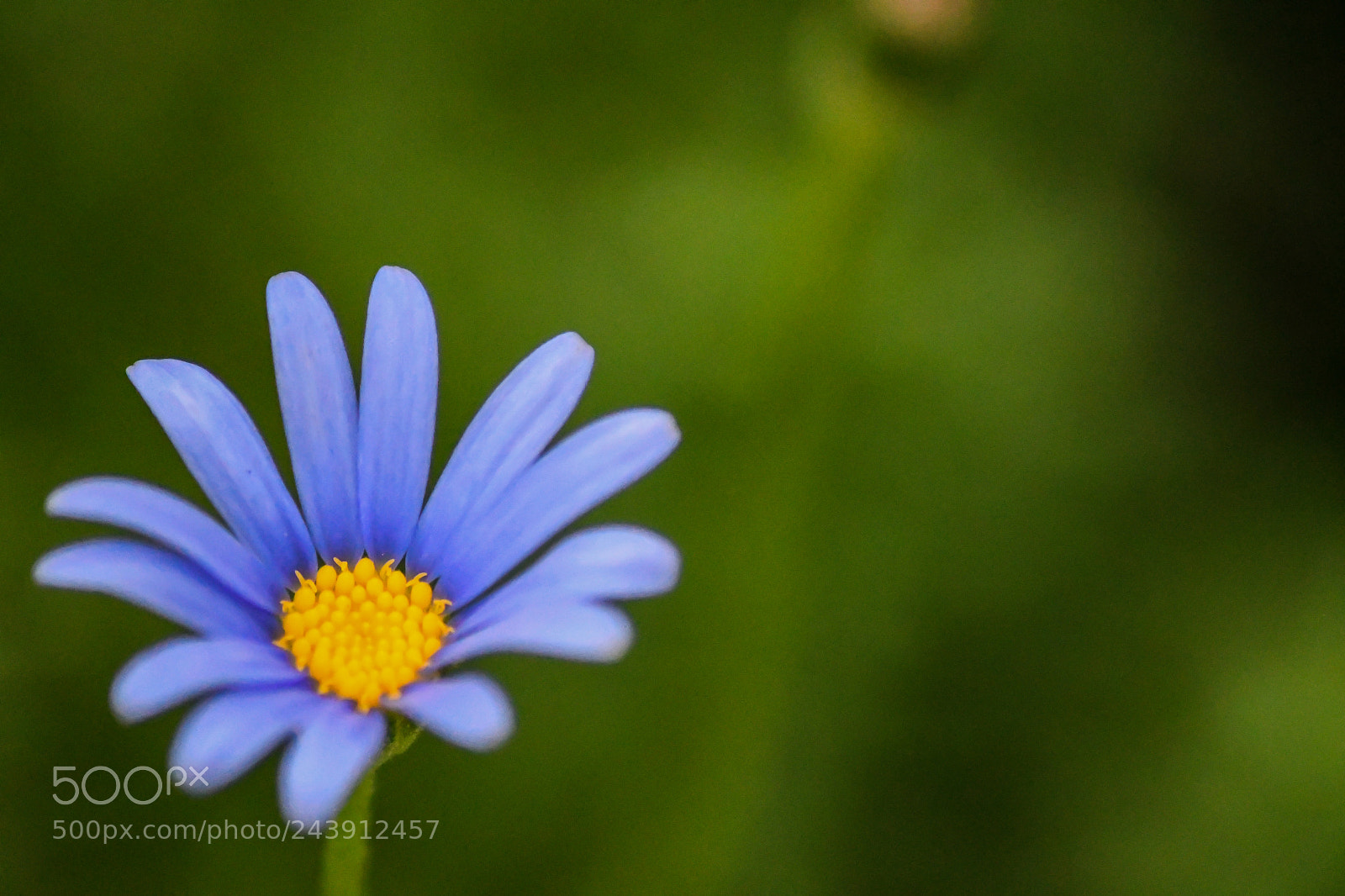 Nikon D7500 sample photo. Untitled photography