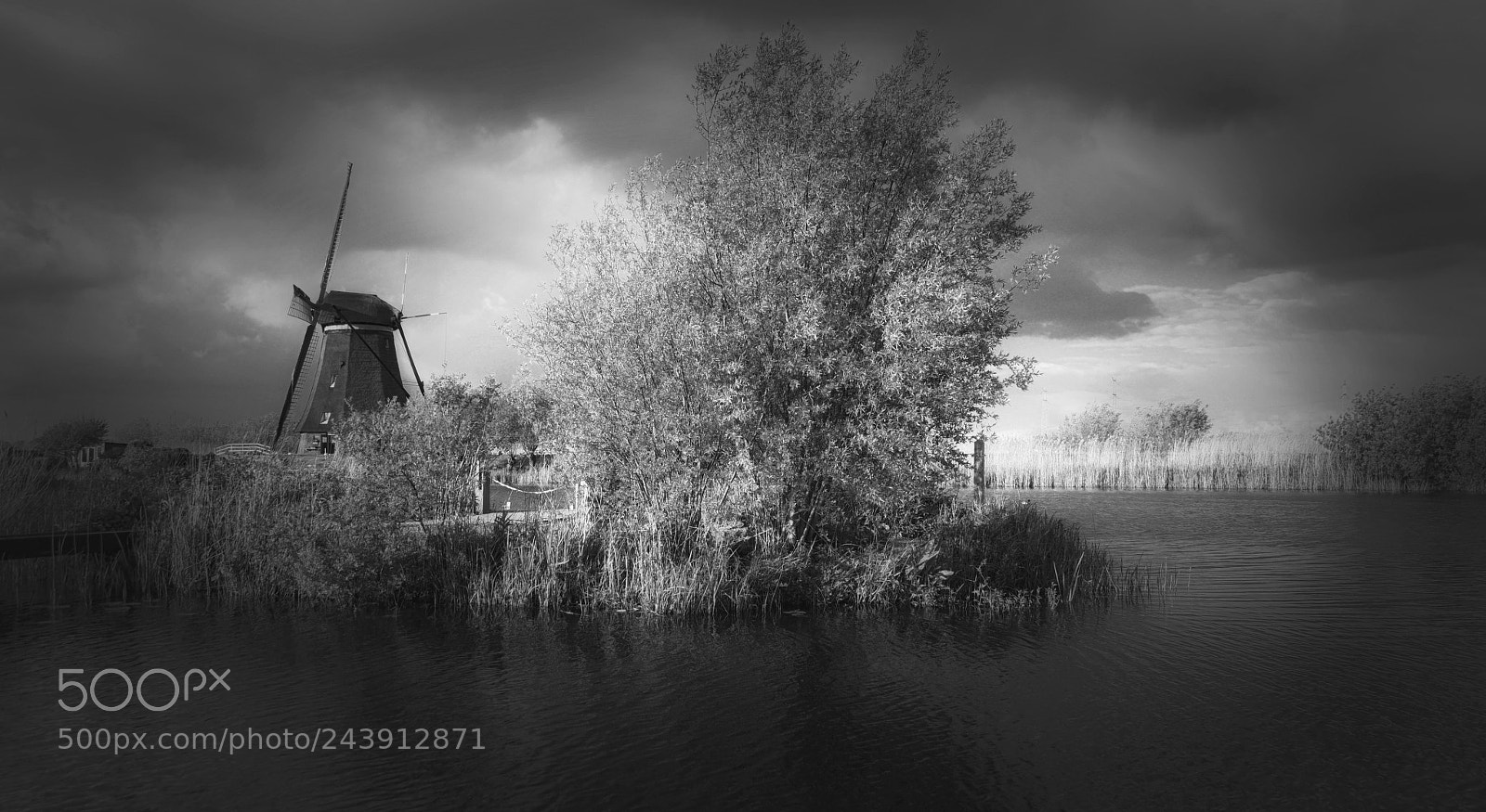 Samsung NX1 sample photo. So dutch photography