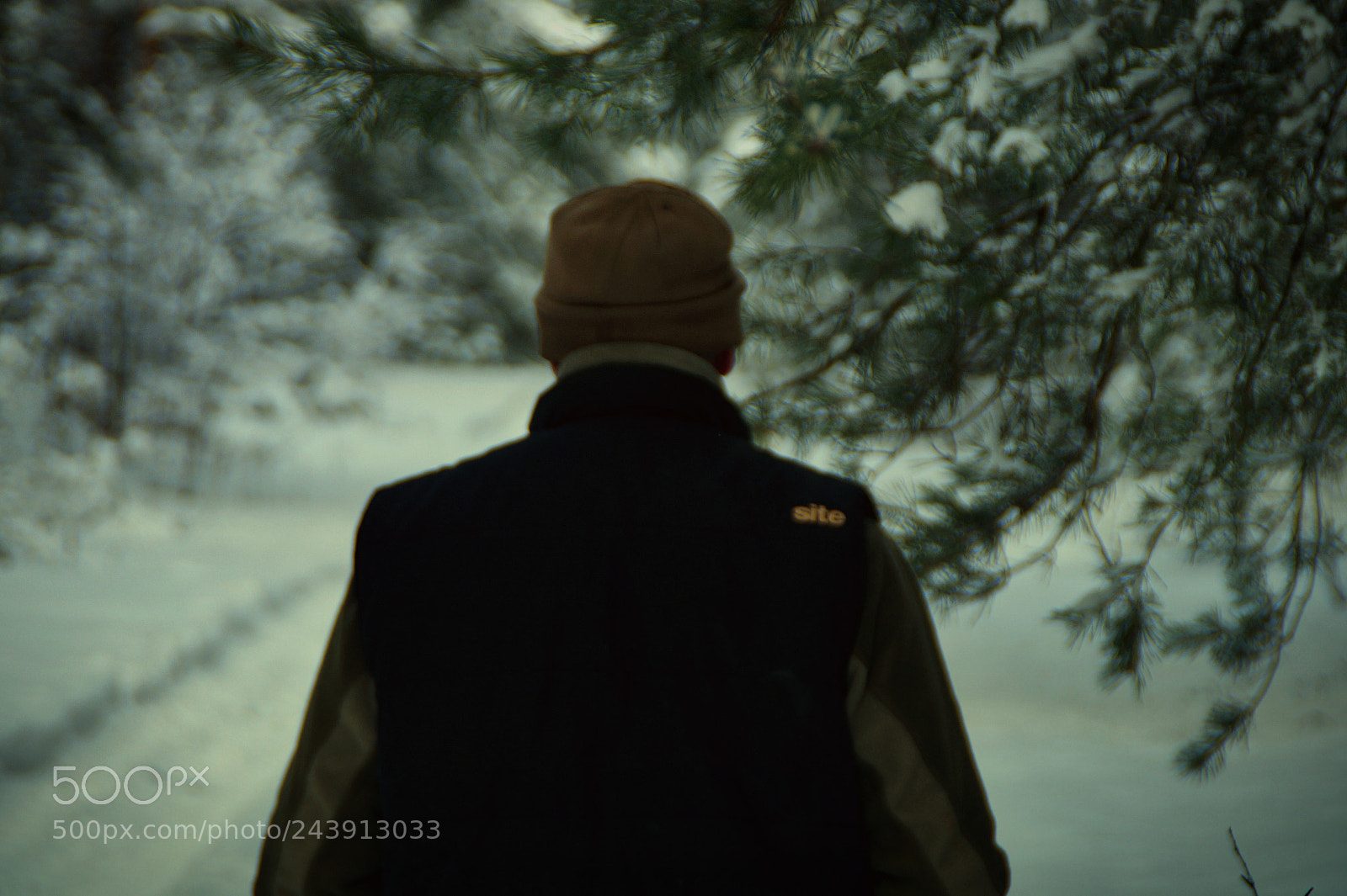 Sony SLT-A58 sample photo. Winter photography