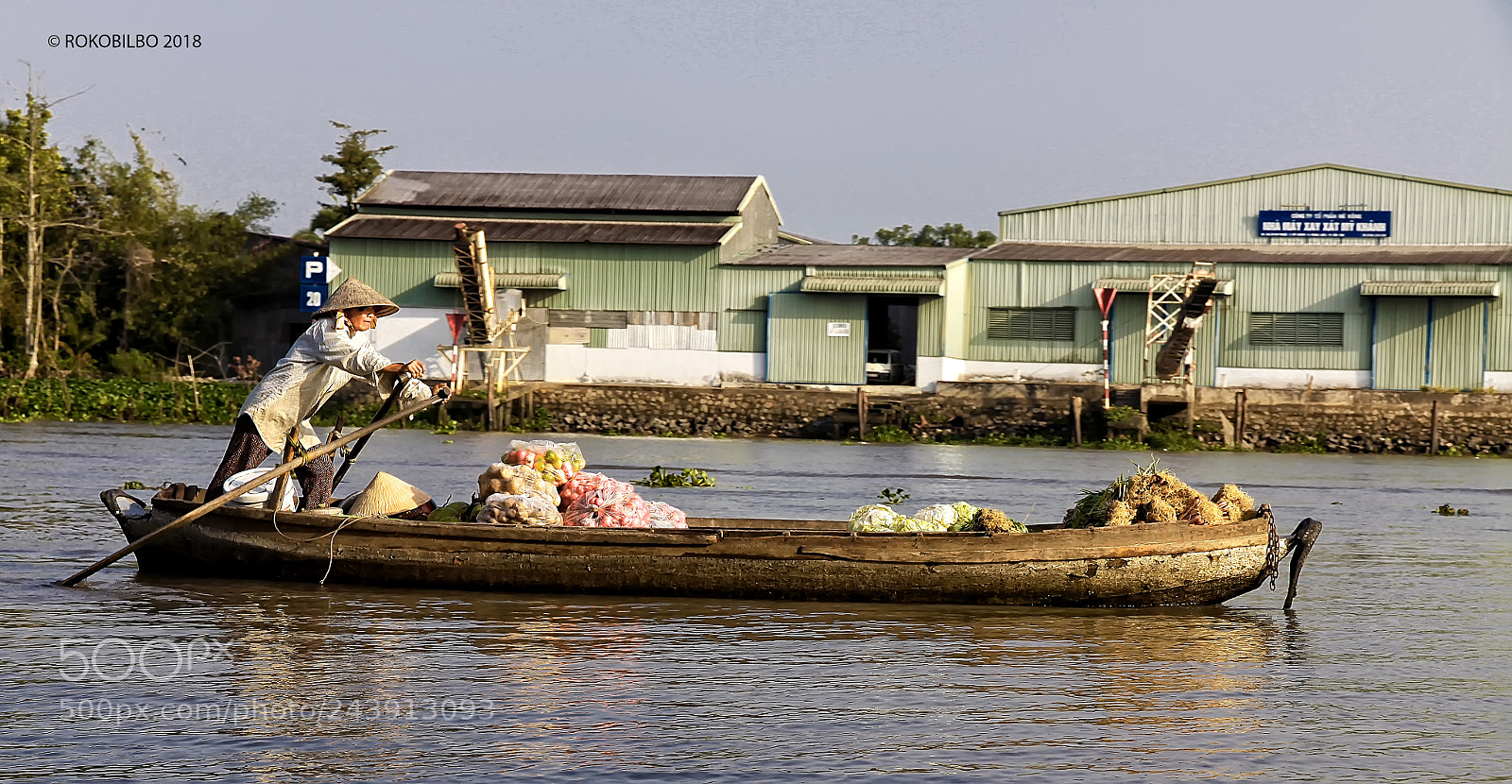 Canon EOS 50D sample photo. Cai rang floating markets 1 photography