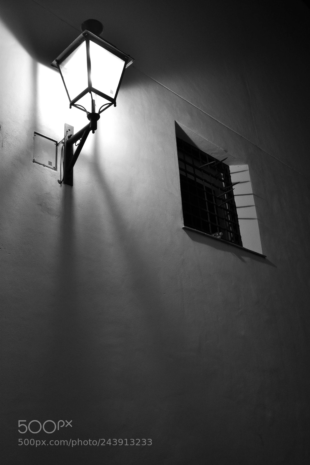 Nikon D7200 sample photo. In the still of photography