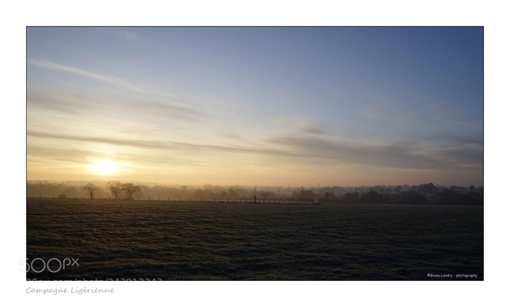 Sony a7 sample photo. Campagne ligérienne photography