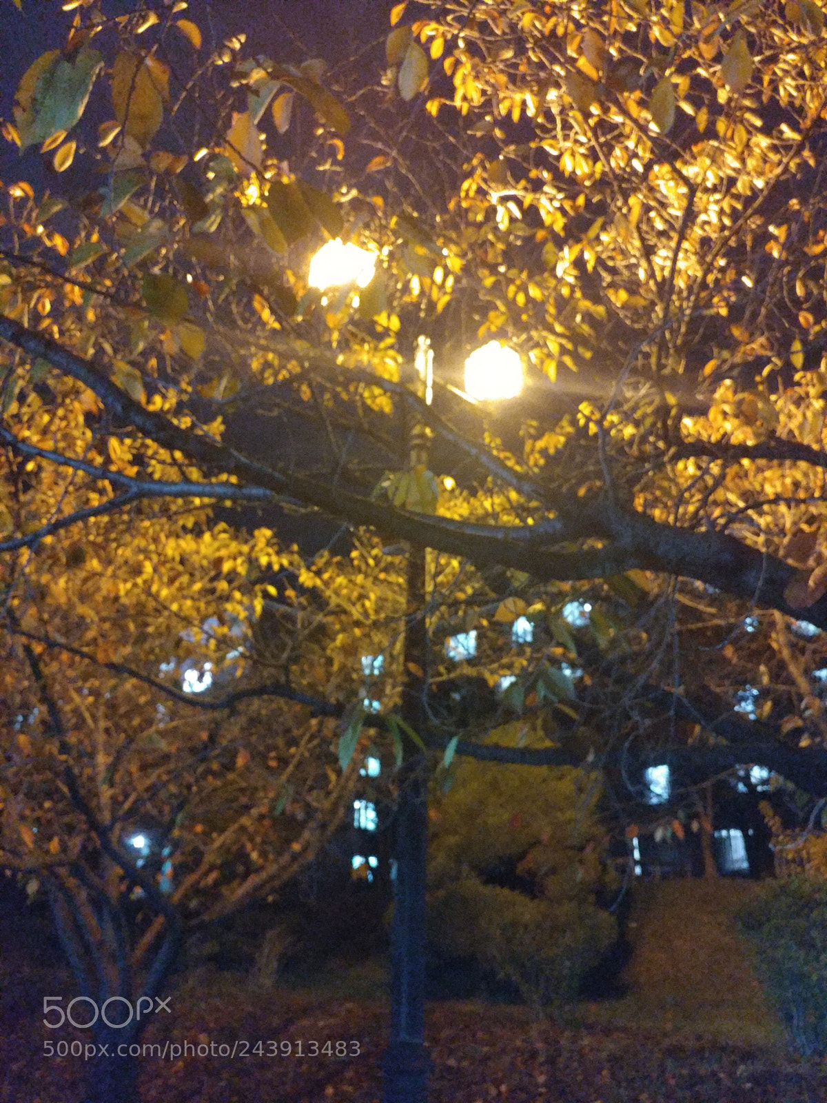LG V20 sample photo. Lamp photography