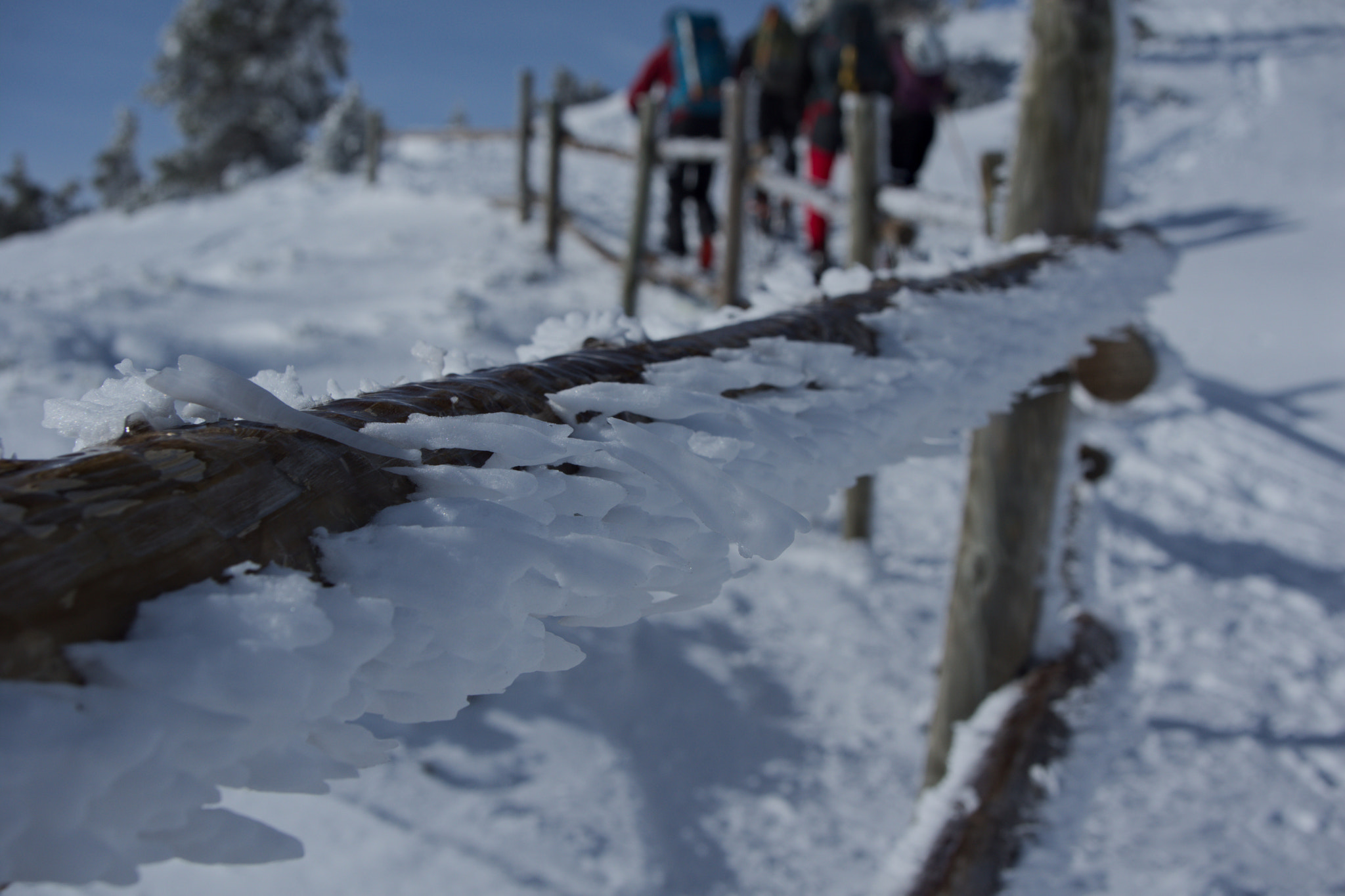 Pentax K-3 II sample photo. Ice? photography