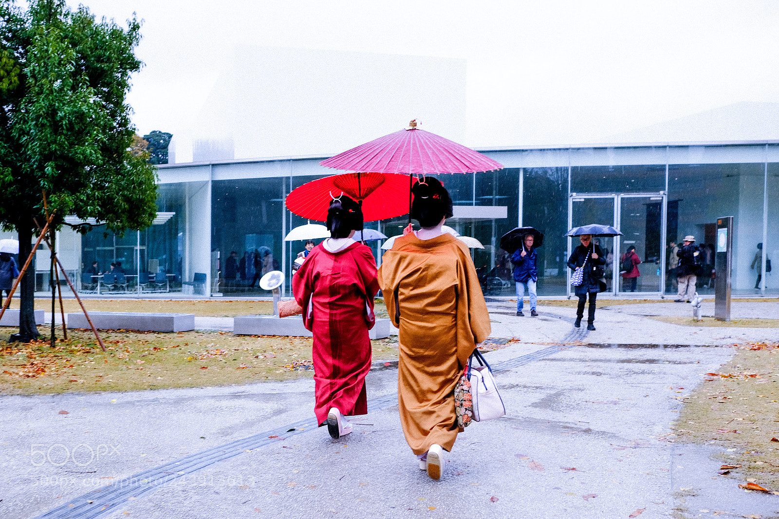Fujifilm X-Pro2 sample photo. 'ellas 2 photography