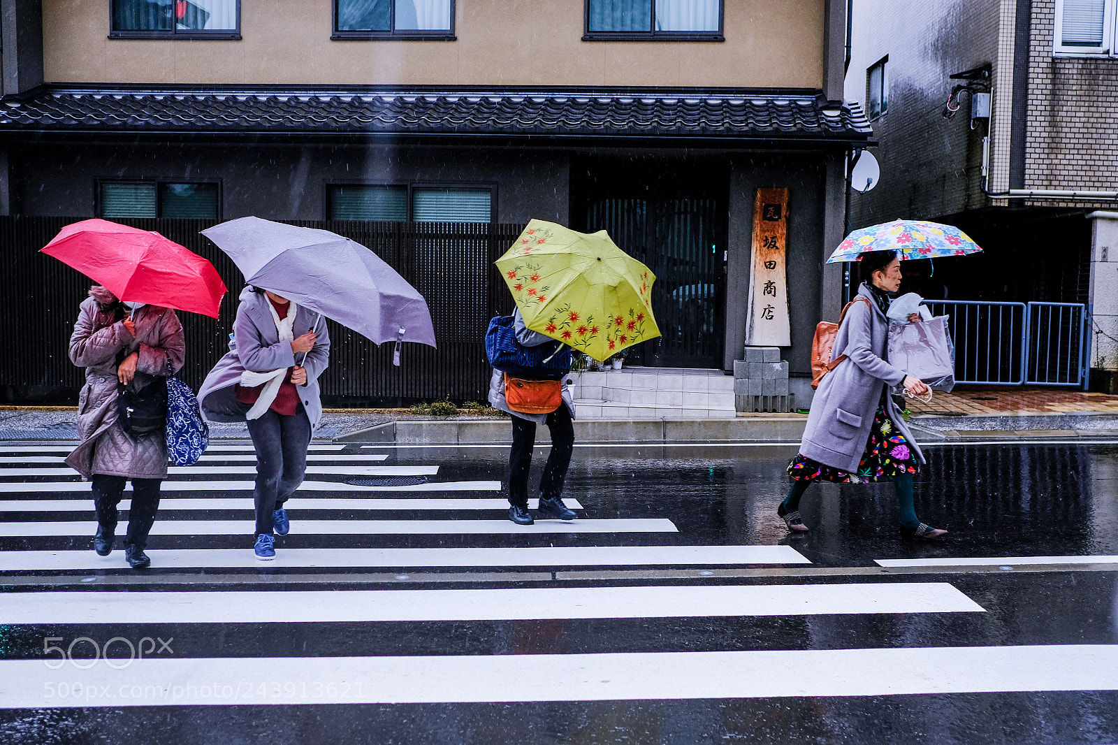 Fujifilm X-Pro2 sample photo. 'ellas photography