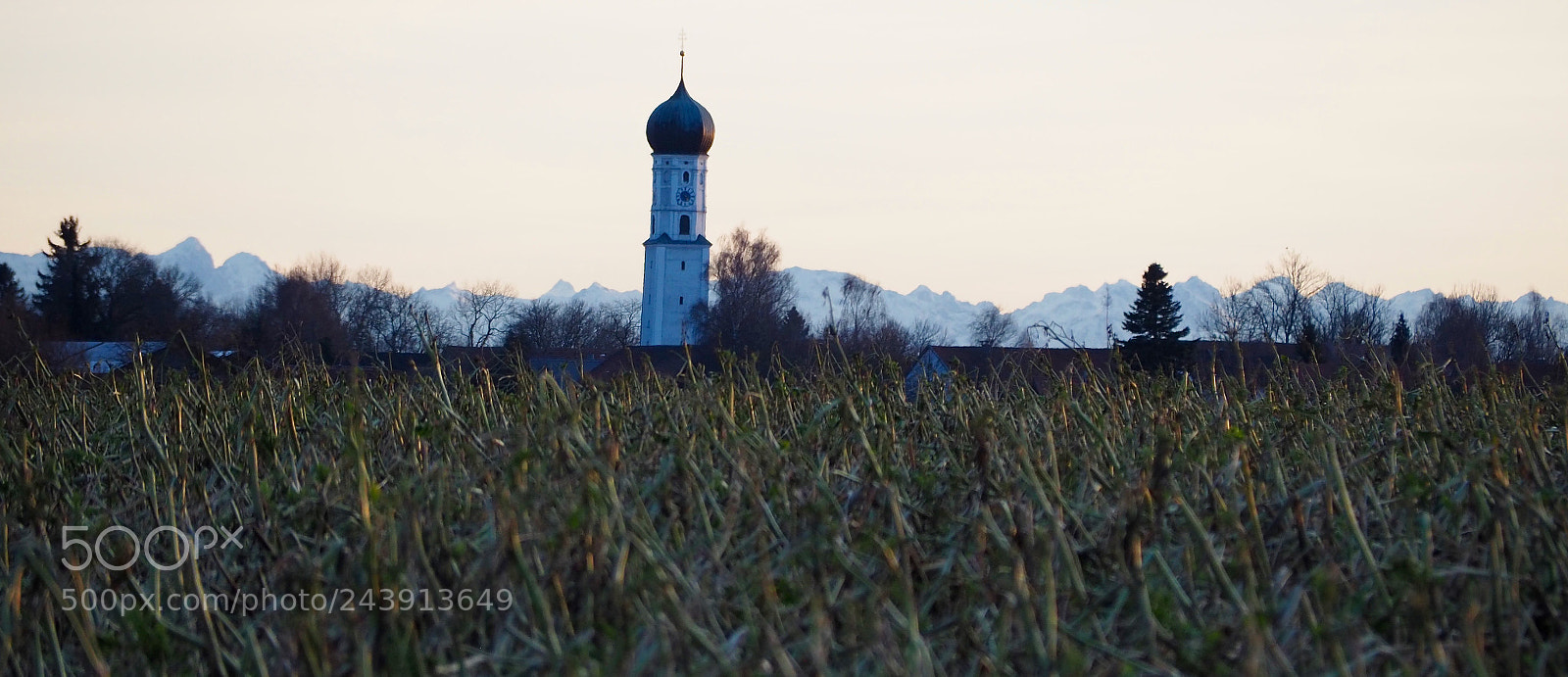 Olympus OM-D E-M5 II sample photo. Alp range view photography