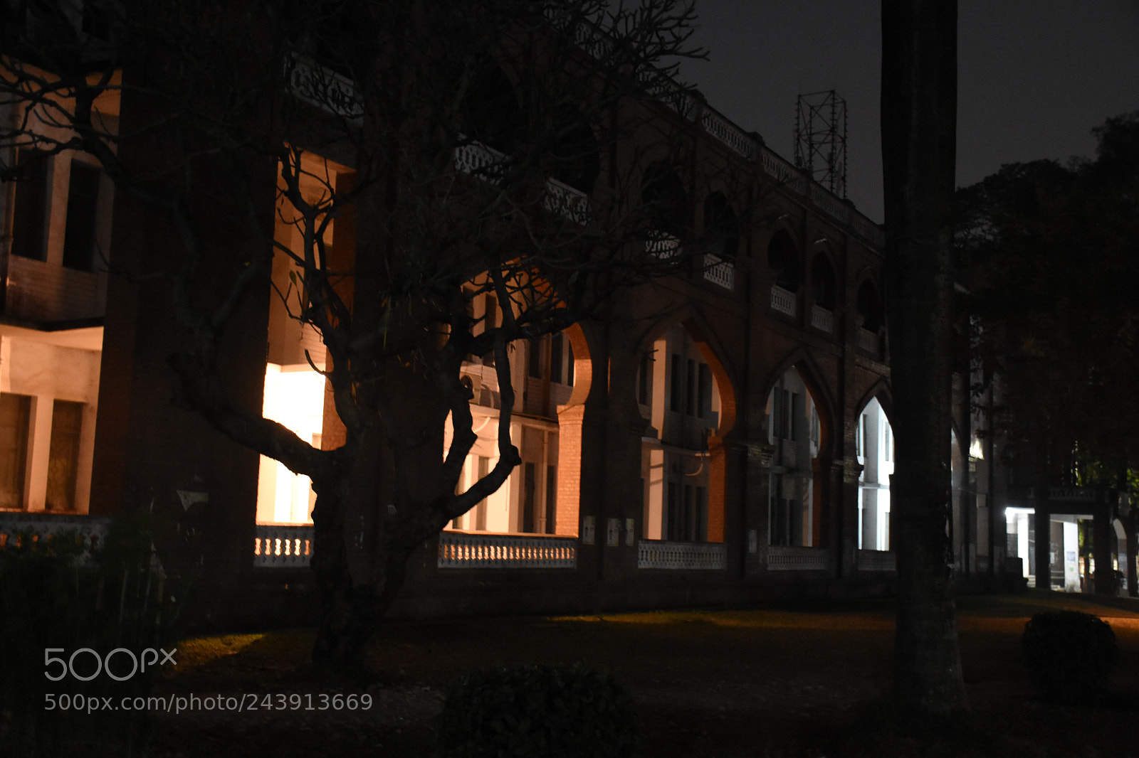 Nikon D7200 sample photo. Untitled photography