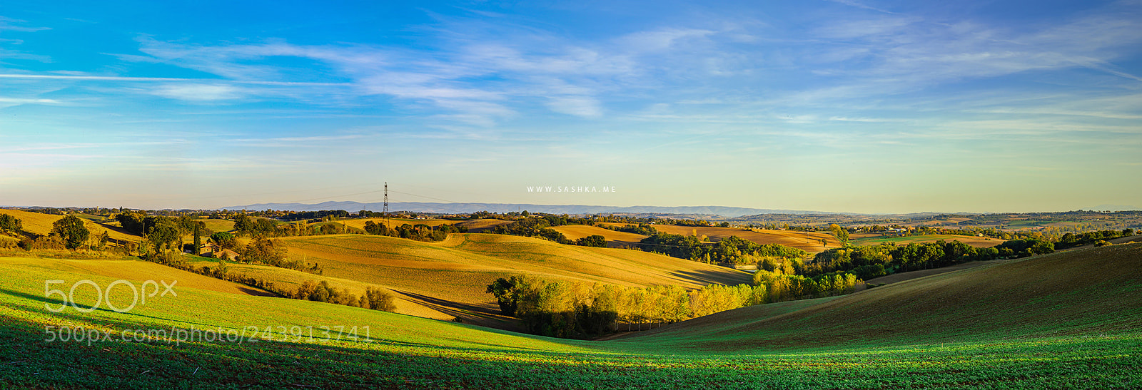 Sony Alpha a99 sample photo. Beautiful green and yellow photography