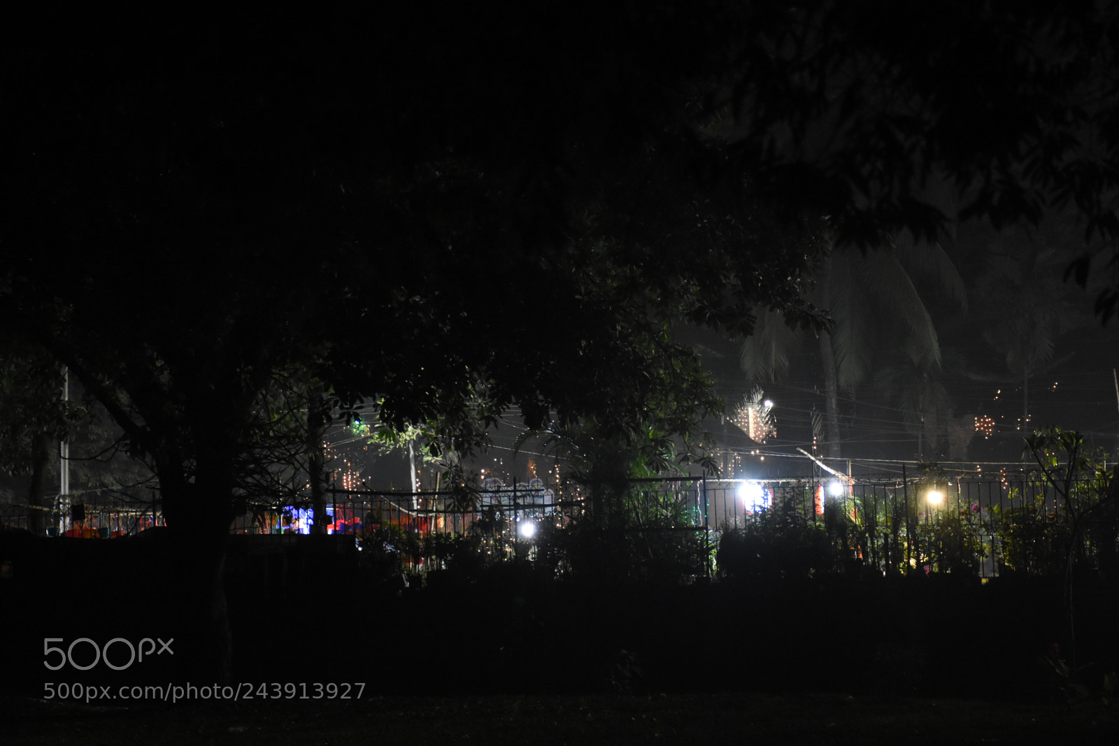 Nikon D7200 sample photo. Untitled photography