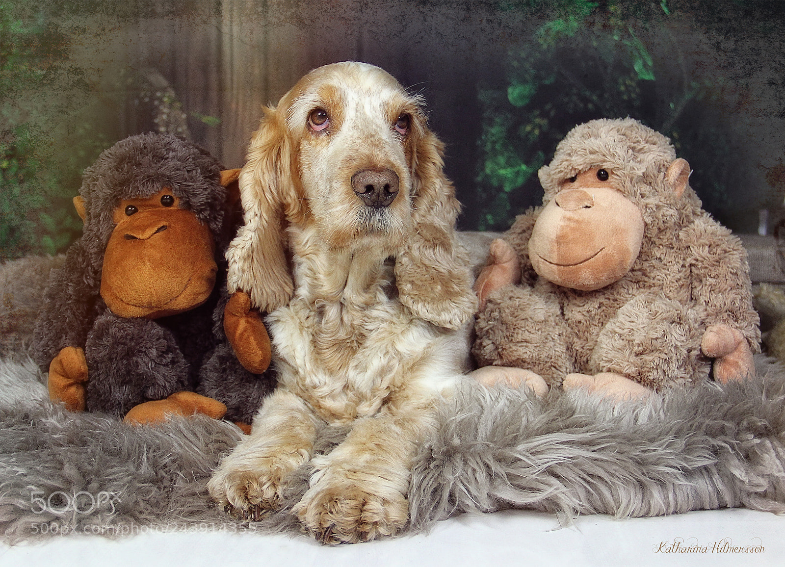 Canon EOS 60D sample photo. Lucas and the monkeys photography