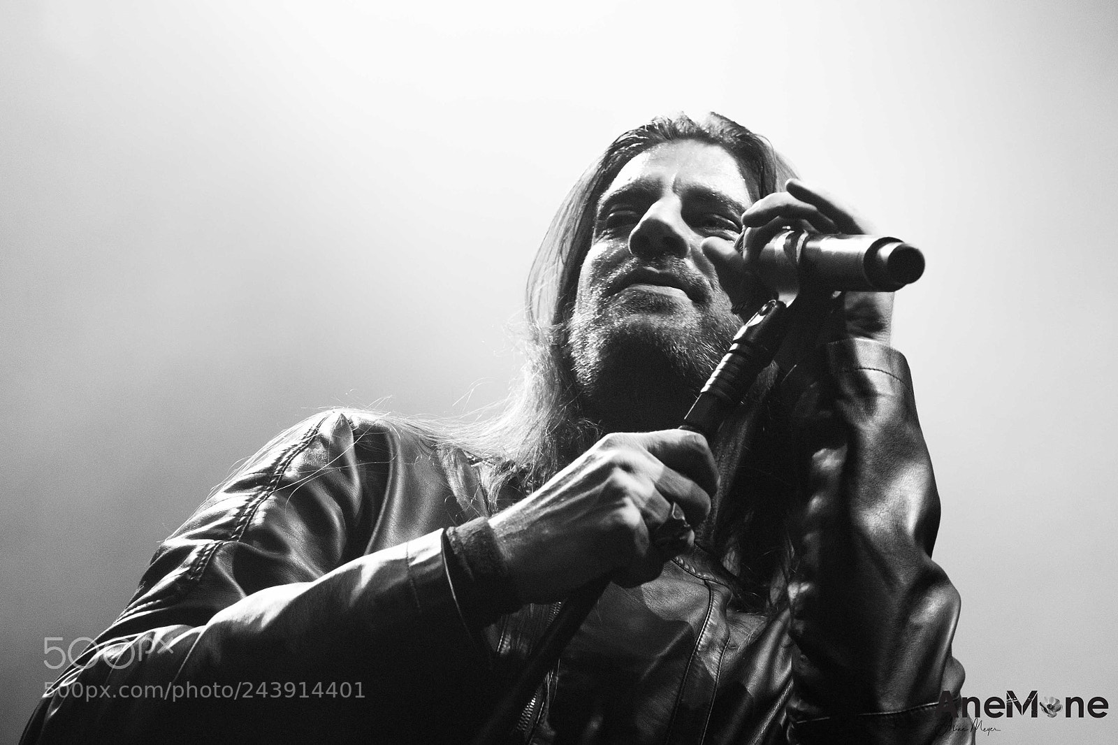 Canon EOS-1D X sample photo. Republica photography