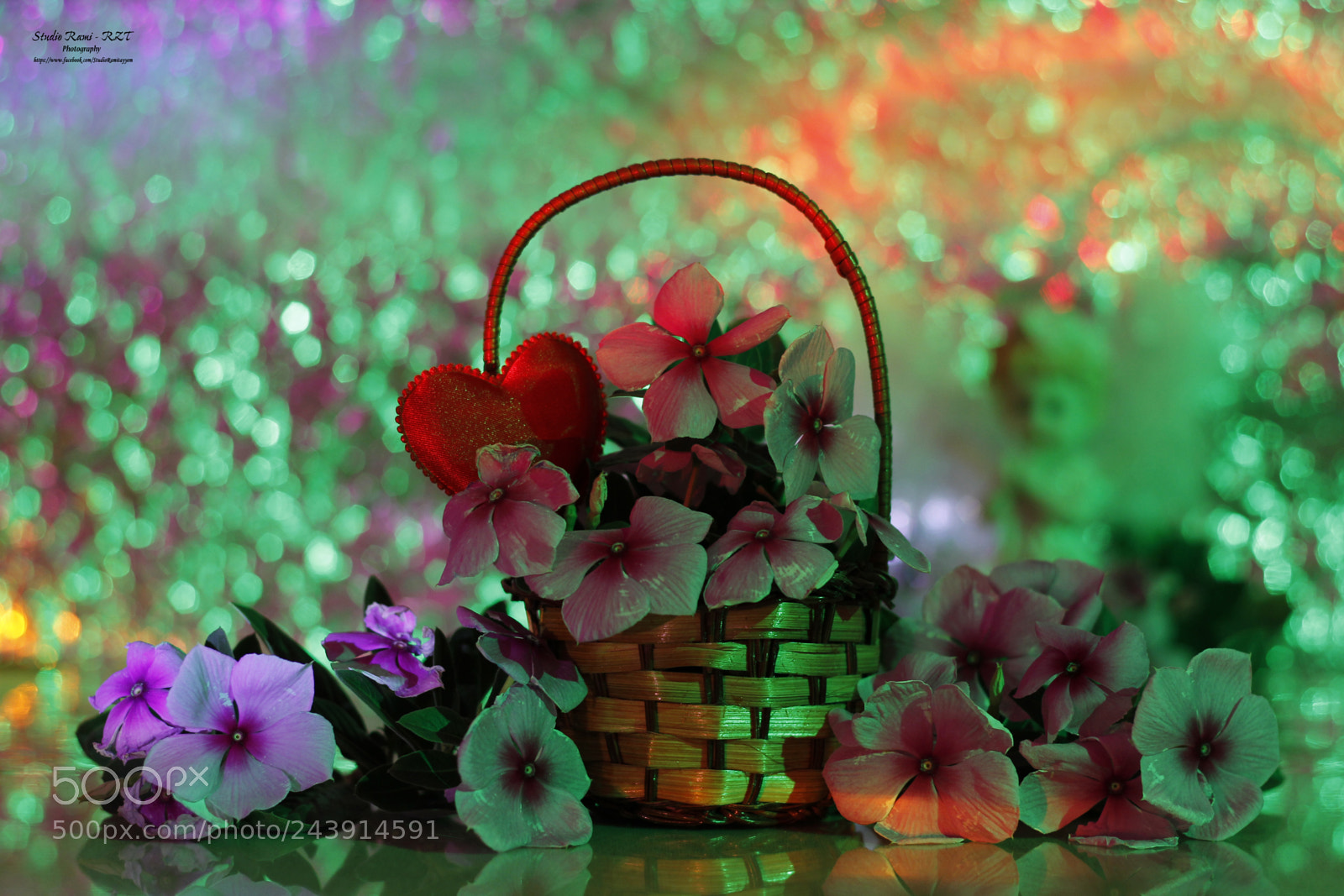 Canon EOS 60D sample photo. Vinca in light rondom photography
