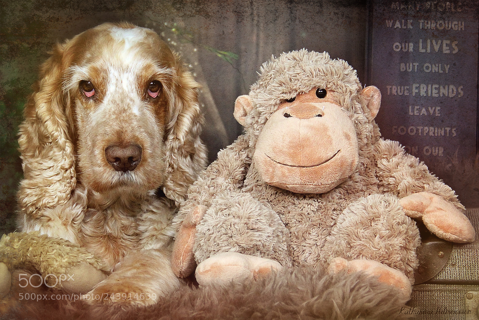 Canon EOS 60D sample photo. We are twins photography