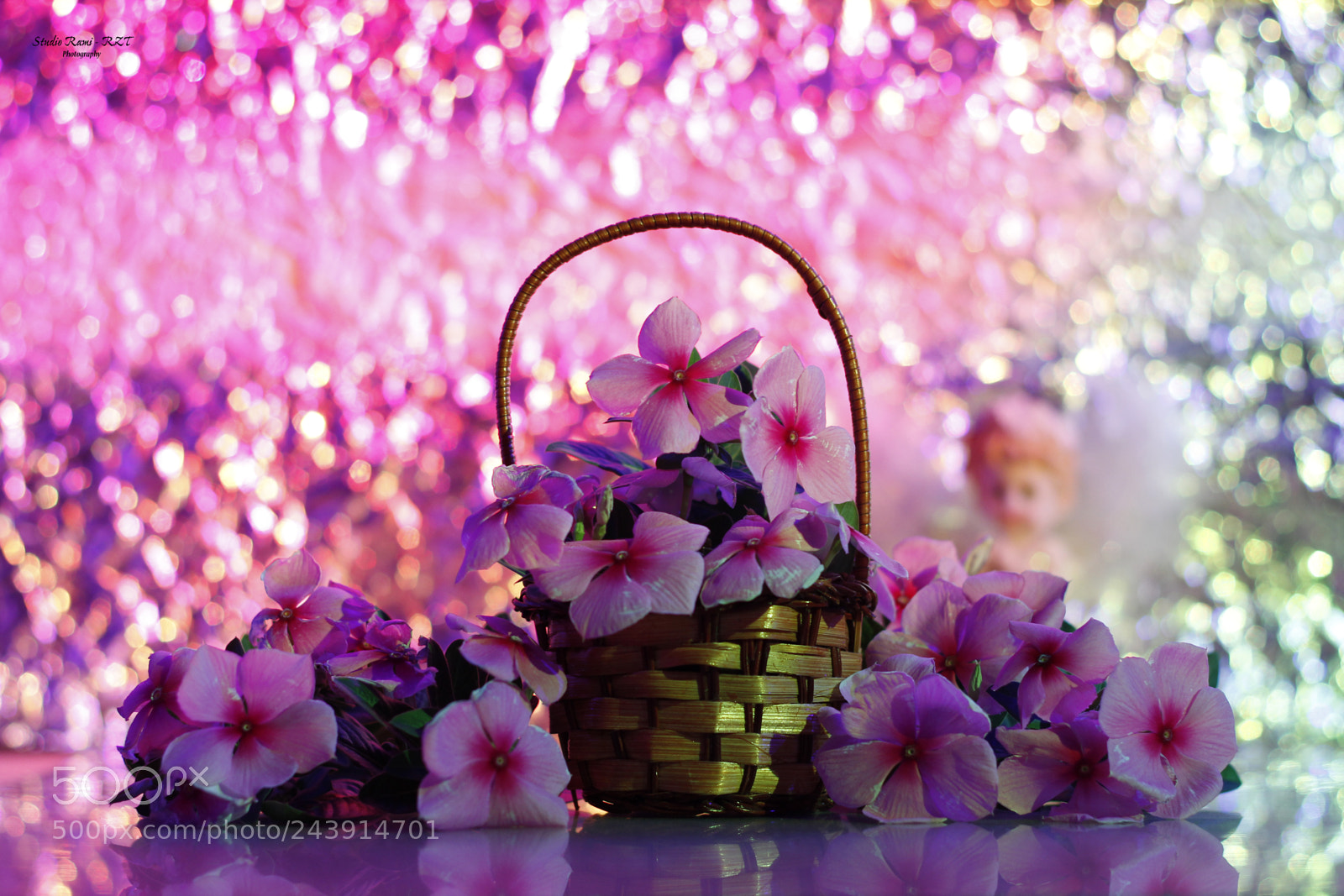 Canon EOS 60D sample photo. Vinca with light pink photography