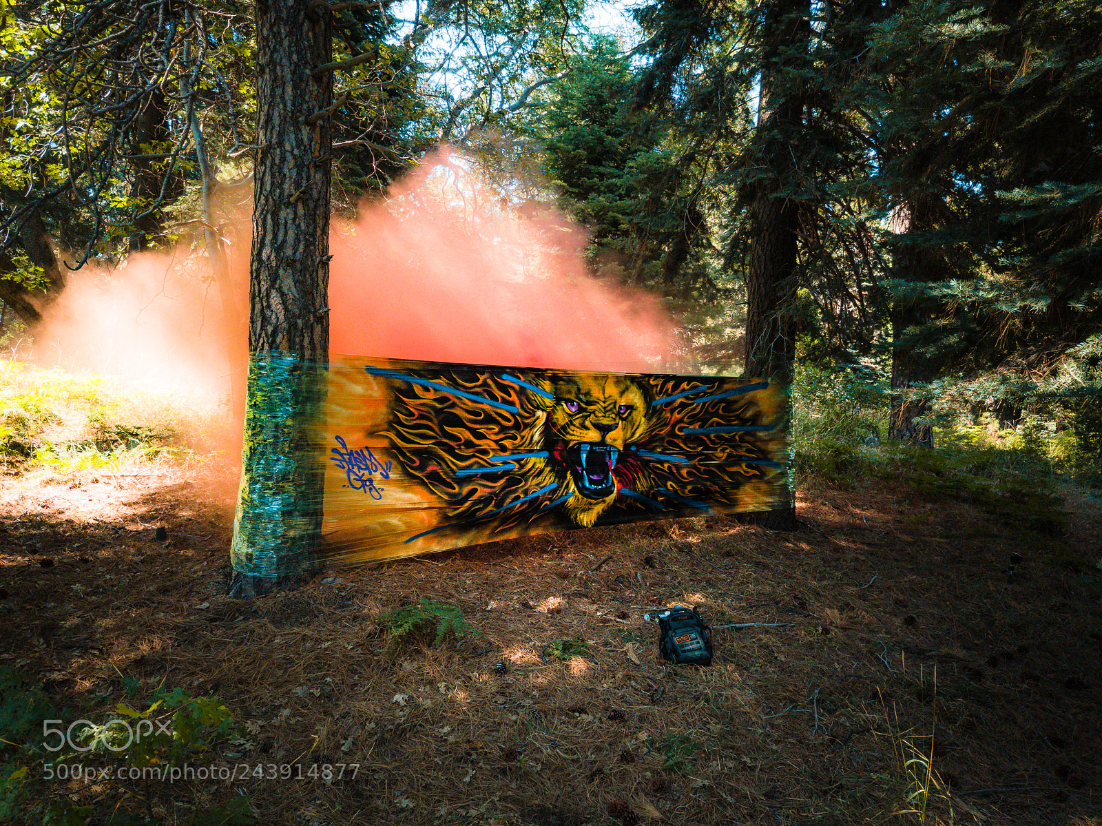 DJI FC220 sample photo. Art on fire photography