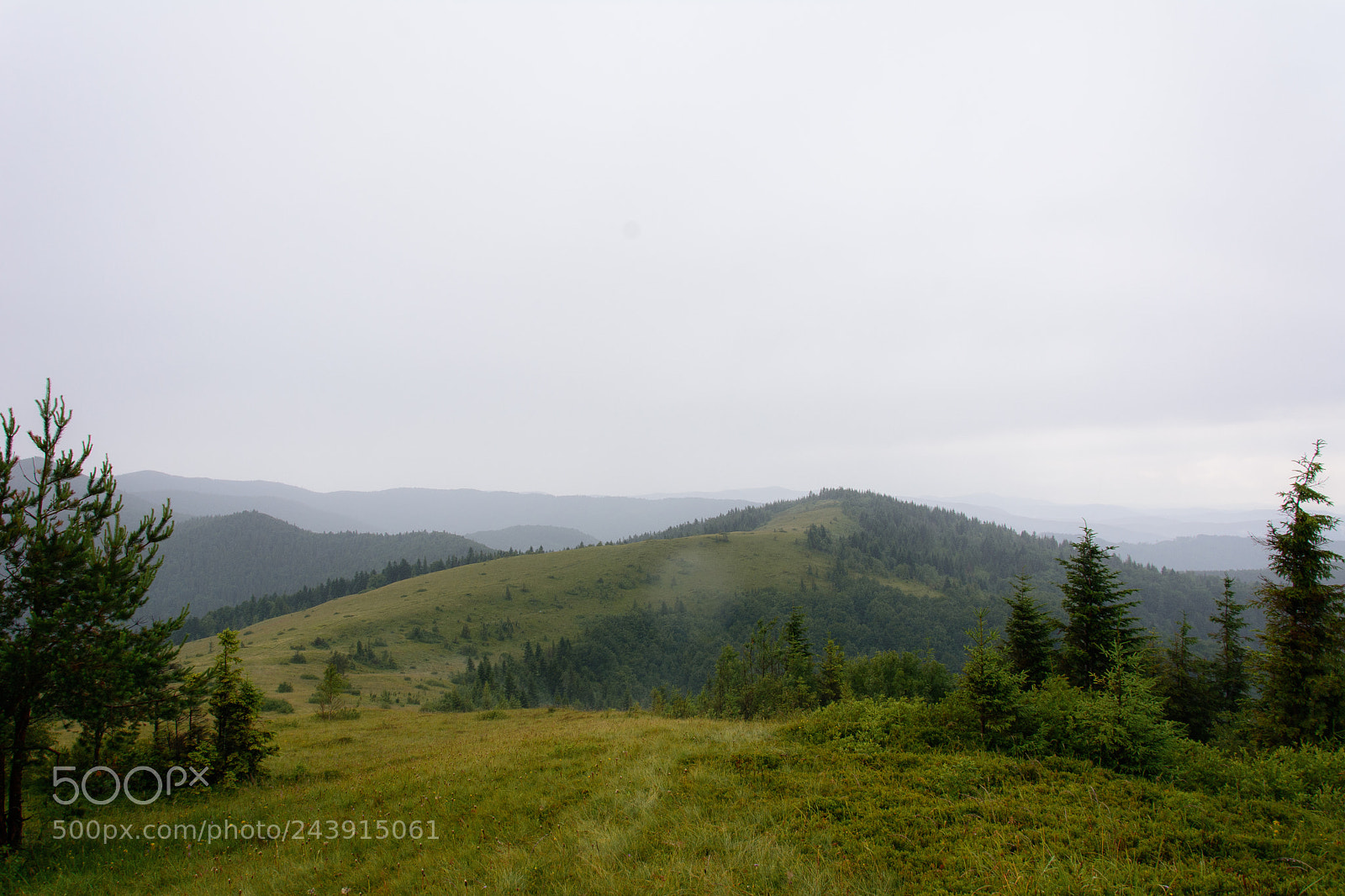 Nikon D7100 sample photo. The foggy summit of photography