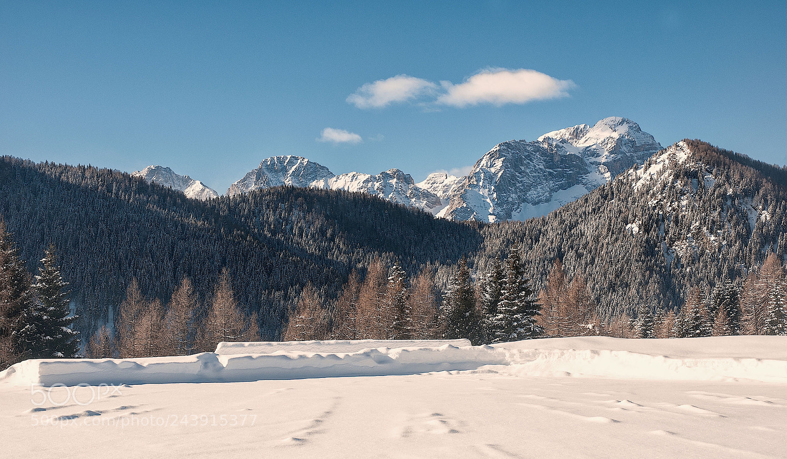 Nikon D200 sample photo. Dolomiti bellunesi photography