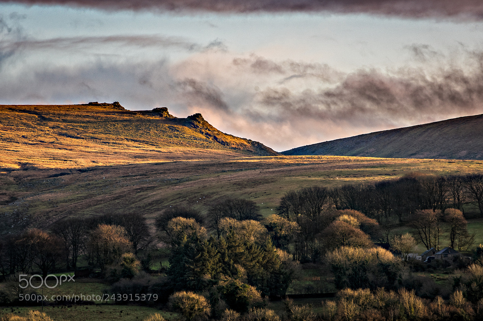 Nikon D810 sample photo. Low evening sun over photography