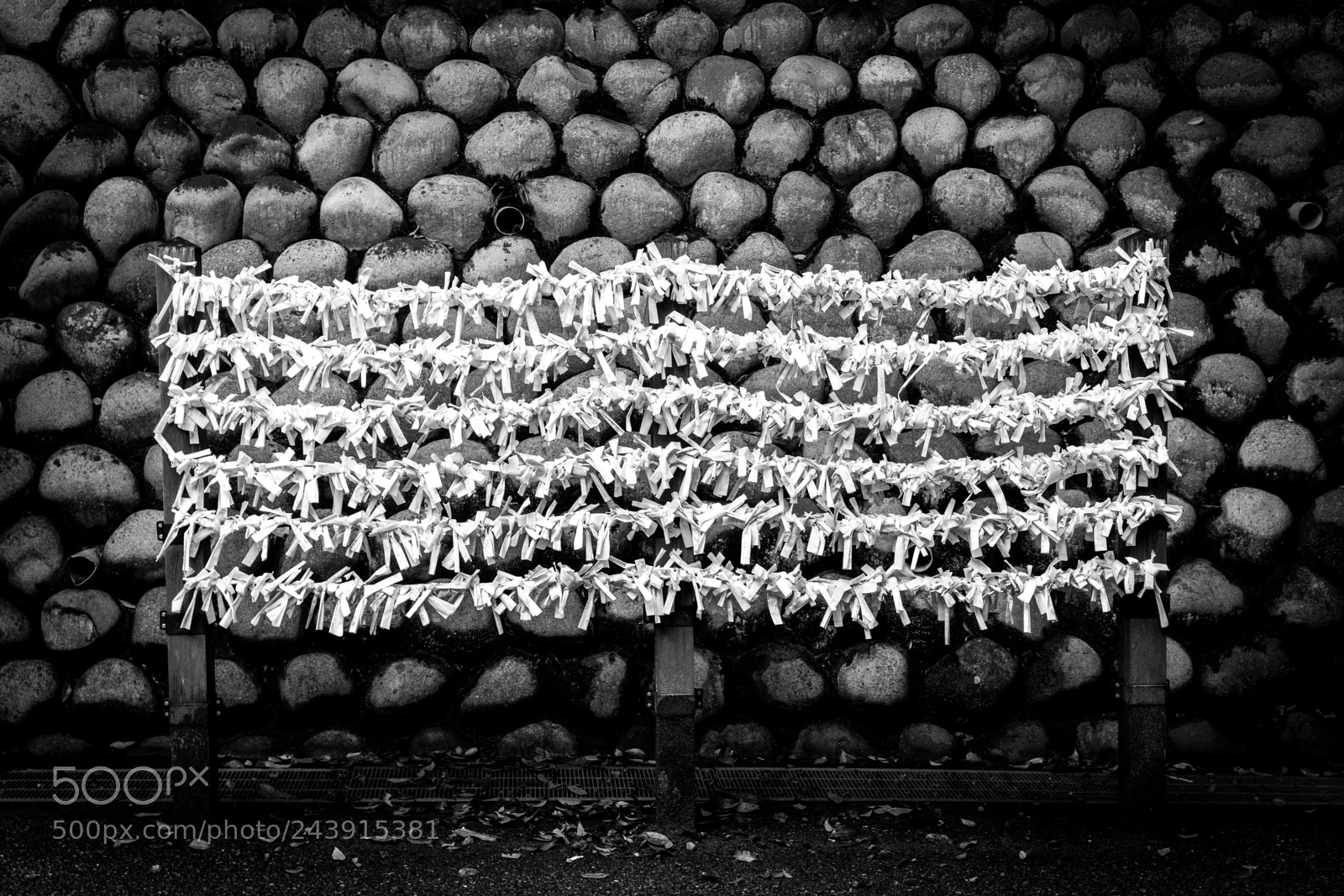 Sony a7 II sample photo. A wall photography