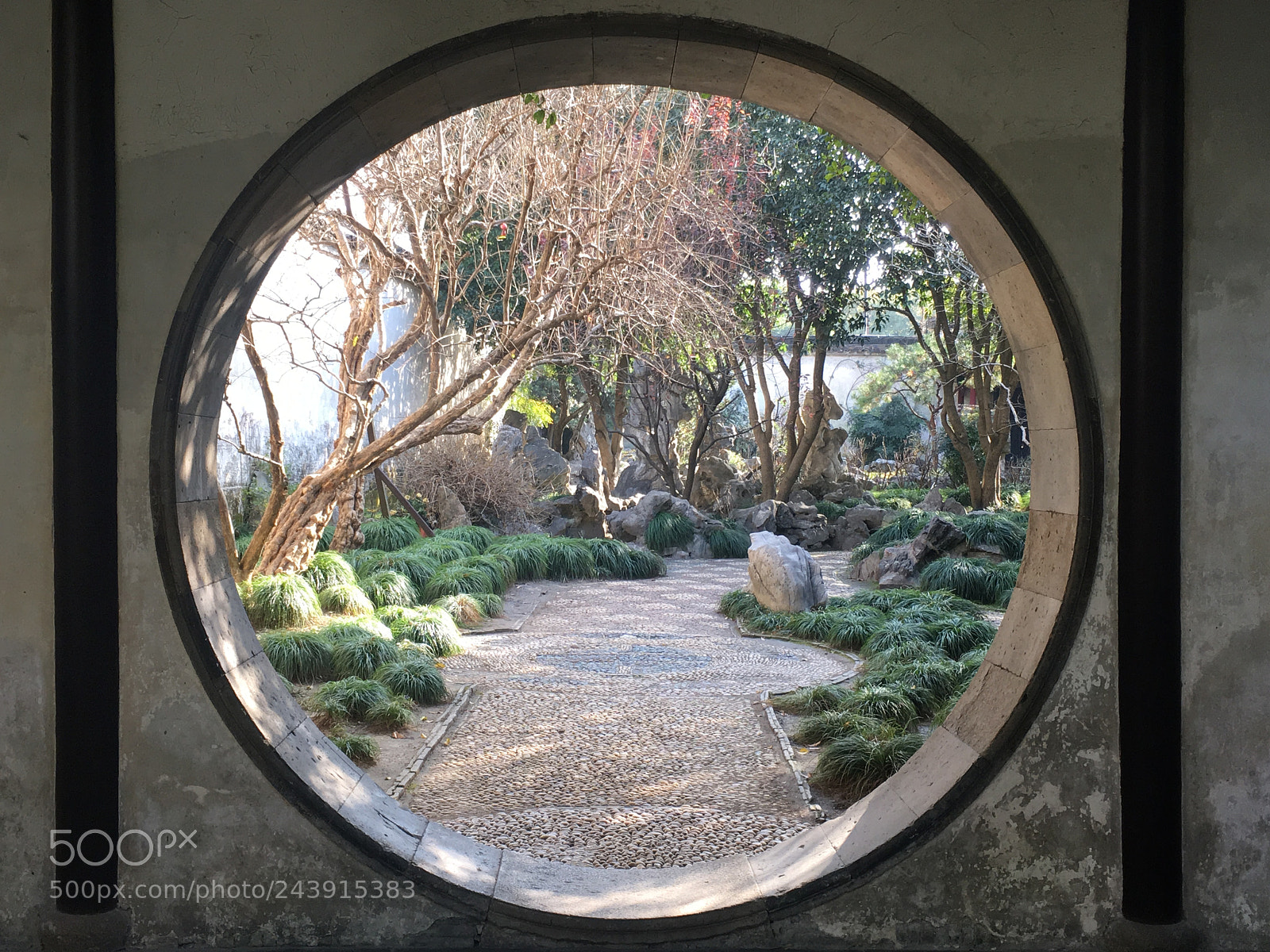 Apple iPhone SE sample photo. 2017121800105214.jpg photography