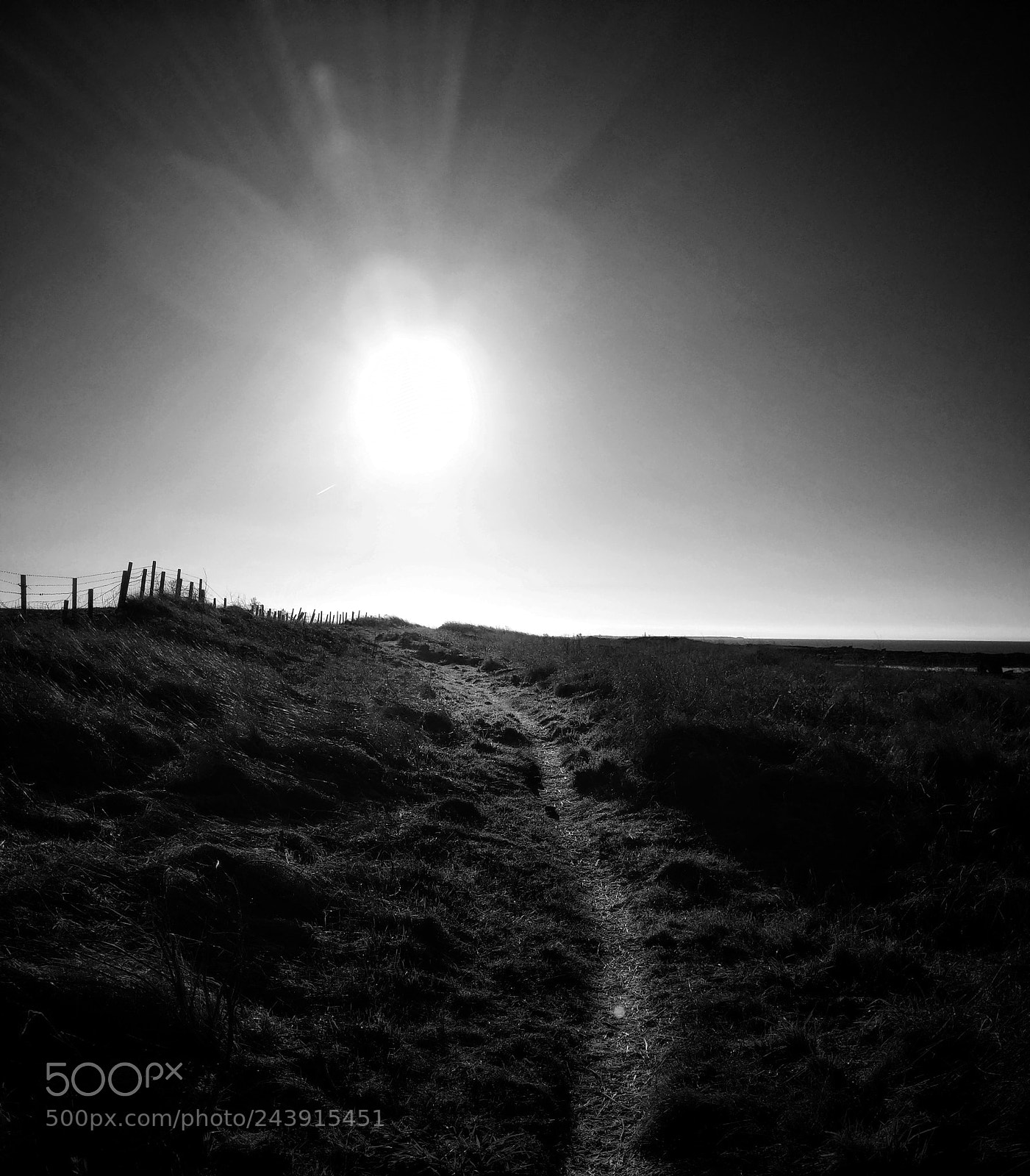 Google Pixel 2 sample photo. Trail to the sun. photography