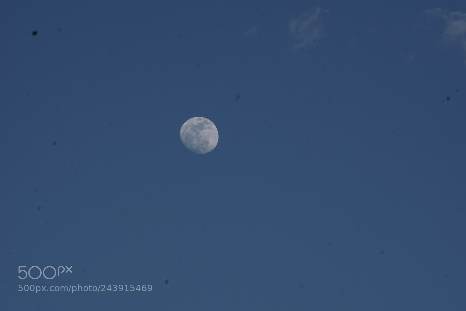 Sony E 55-210mm F4.5-6.3 OSS sample photo. Dsc photography