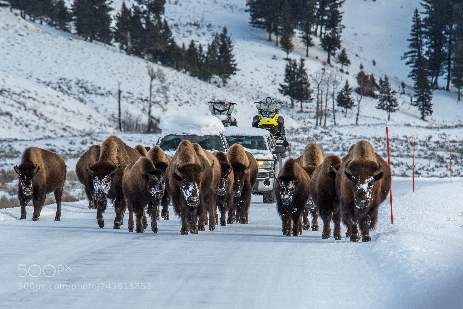 Nikon D500 sample photo. Road block photography