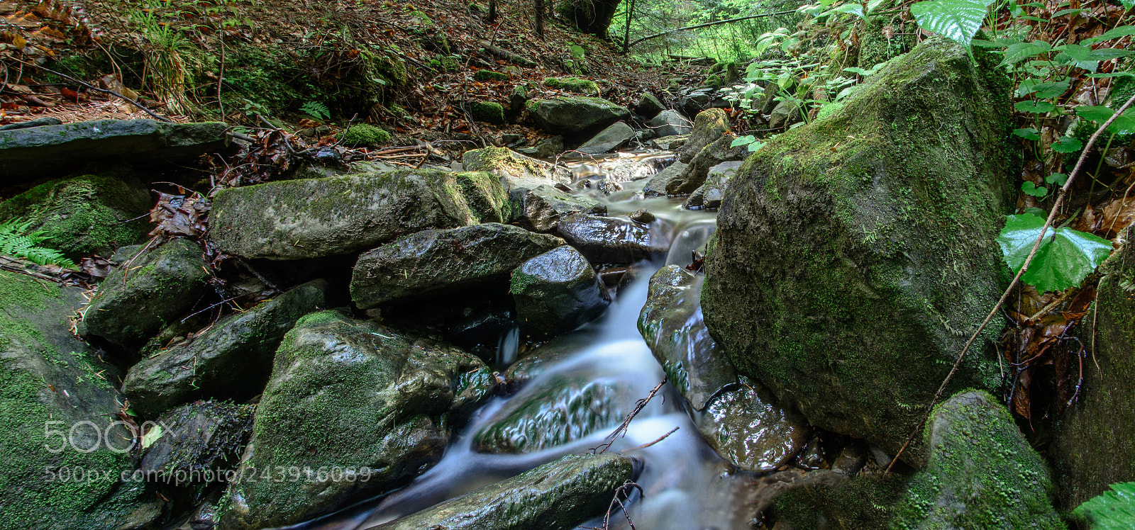 Nikon D7100 sample photo. Magic mountain stream in photography