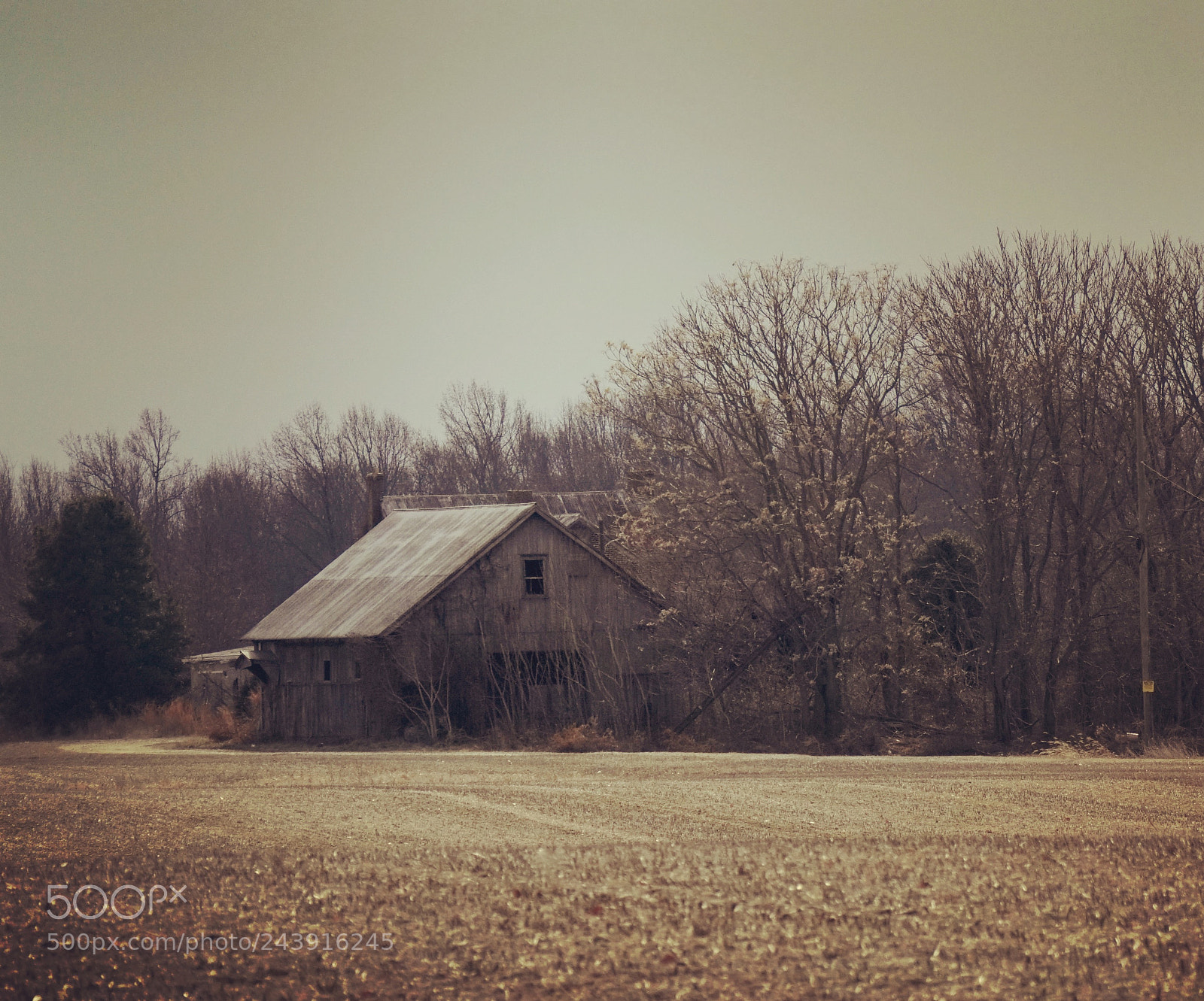 Sony a6300 sample photo. Weathered and worn photography