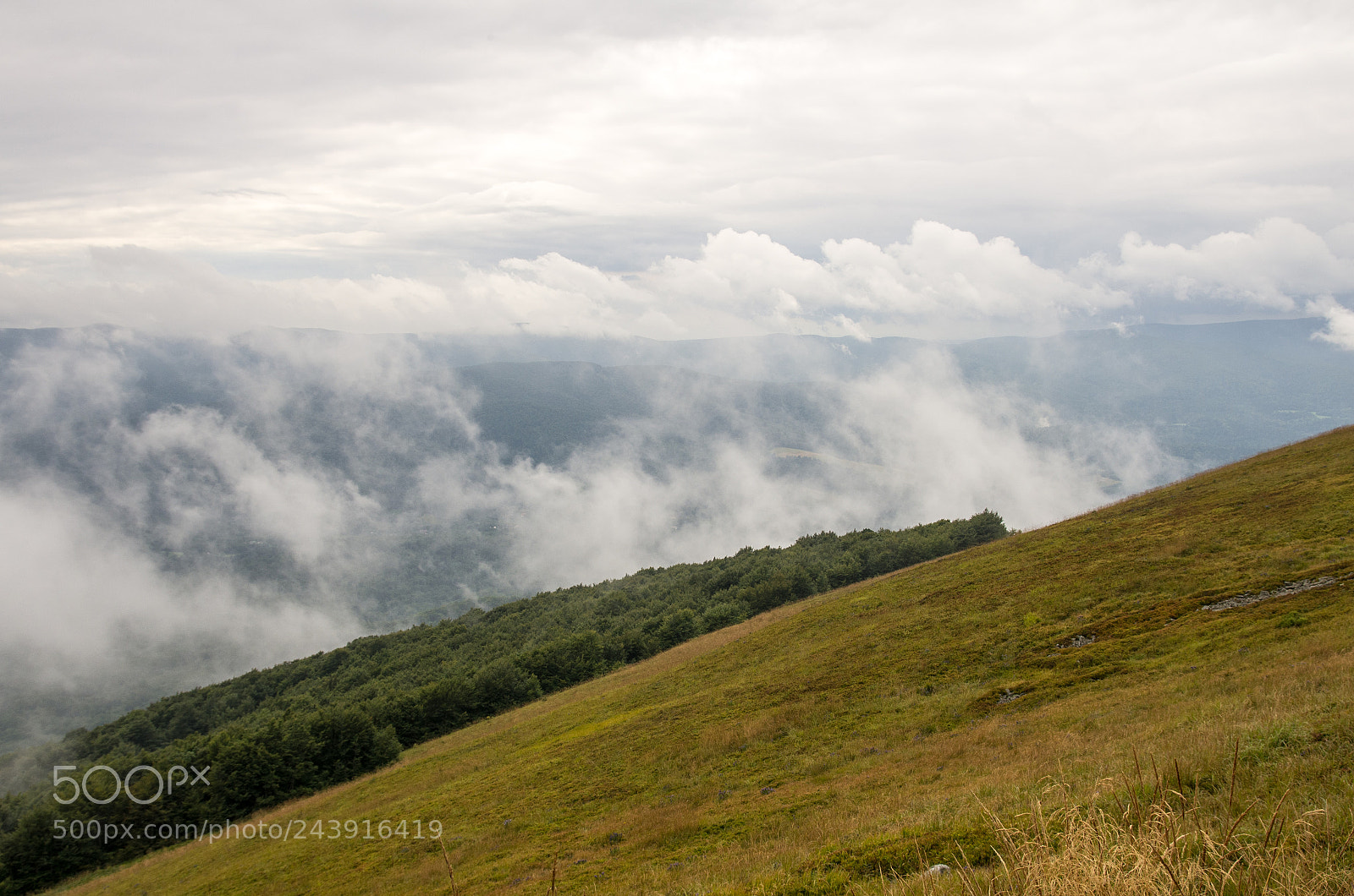 Pentax K-5 sample photo. Clouds in valley photography