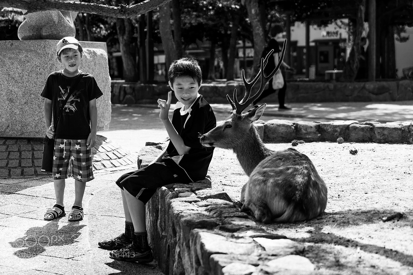 Sony a7 II sample photo. A boy and a photography