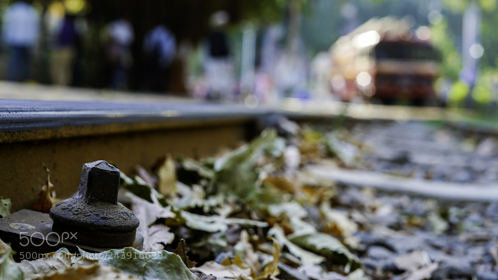 Sony a7R II sample photo. Track on no load photography