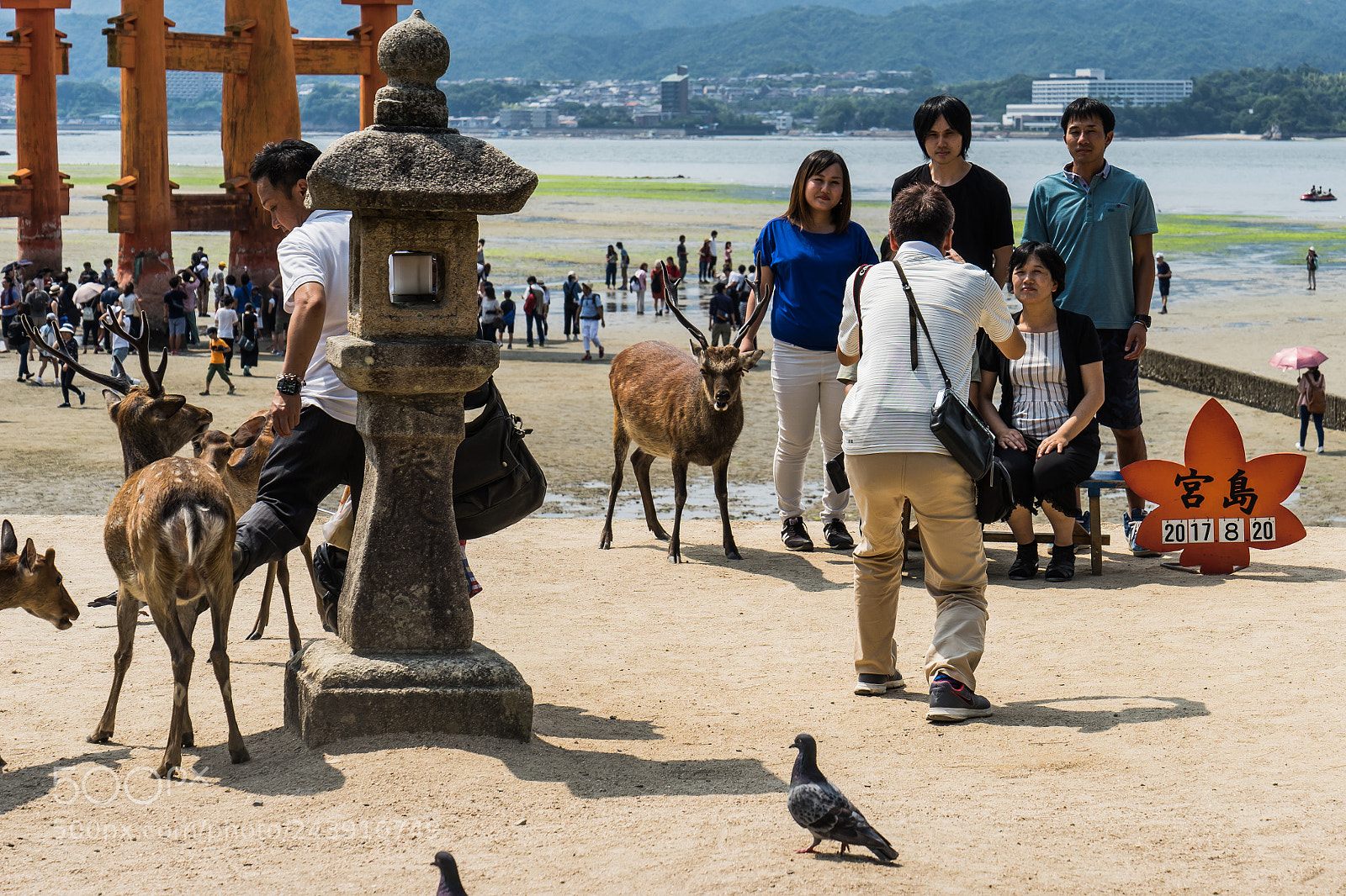 Sony a7 II sample photo. Photobomb photography
