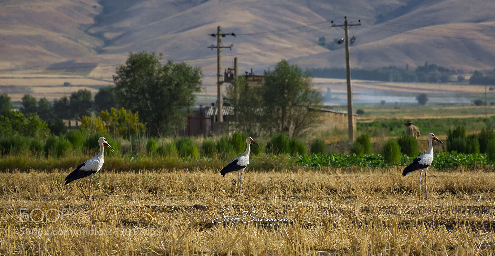 Nikon D7200 sample photo. Untitled photography