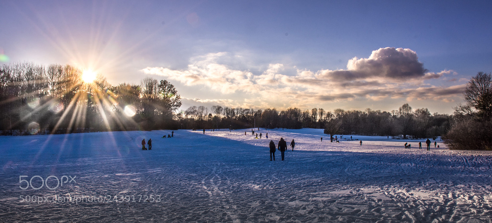 Nikon D7200 sample photo. Wintry east park in photography