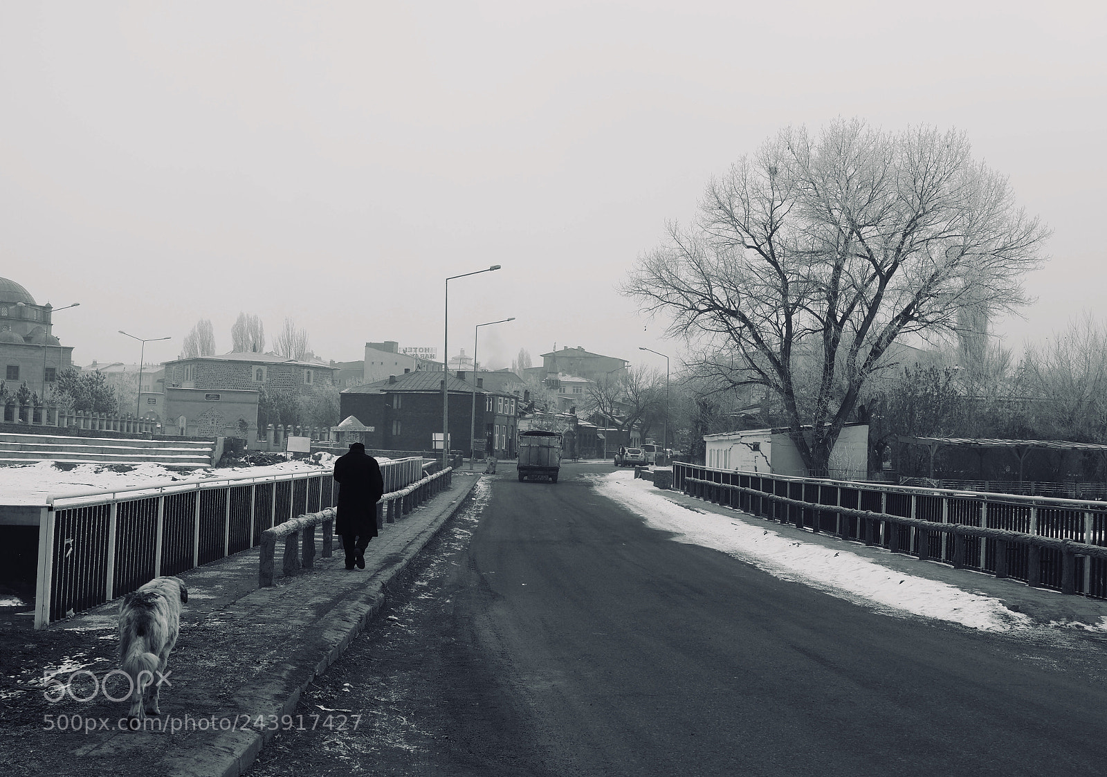 Olympus OM-D E-M1 Mark II sample photo. Never walk alone photography